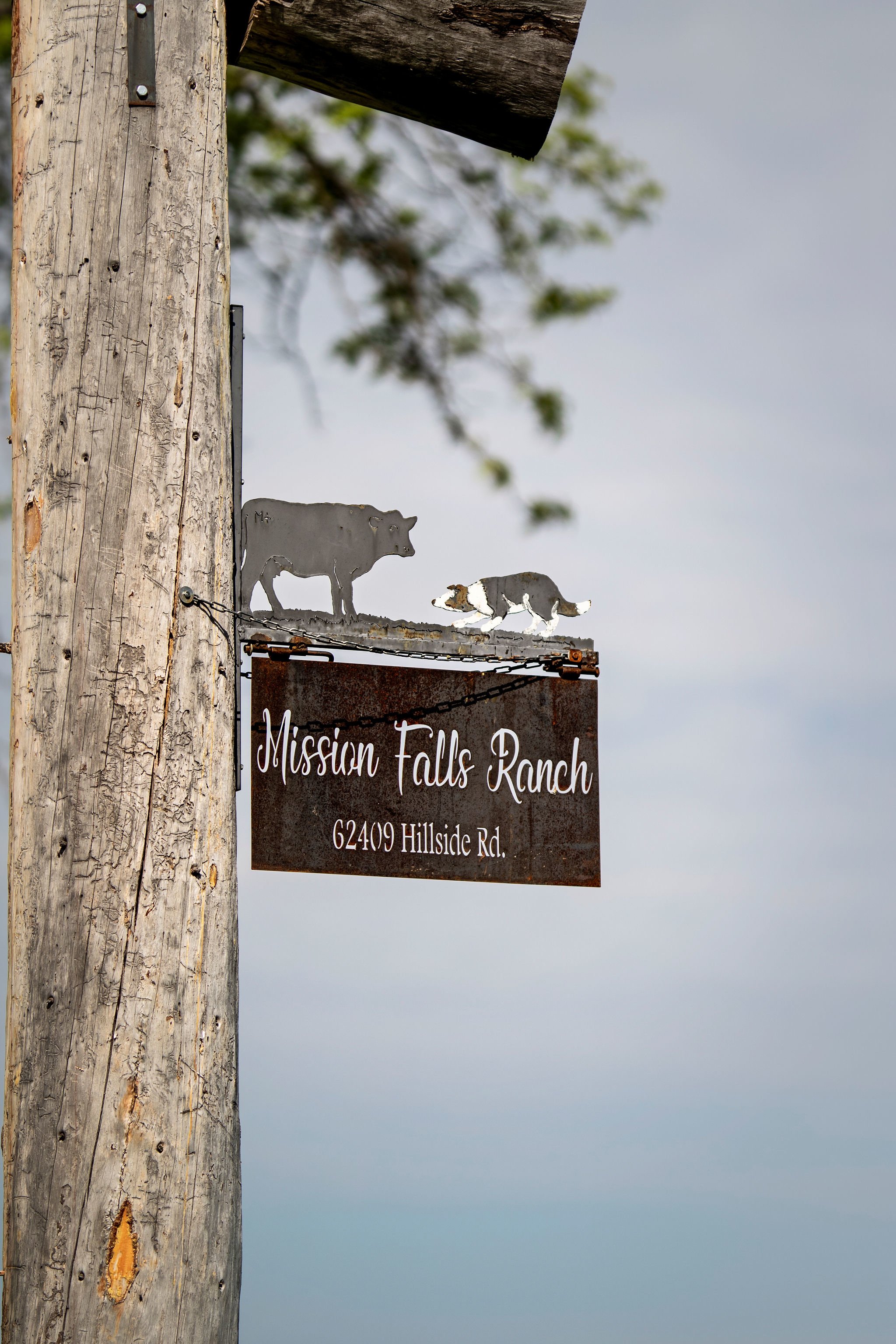 Mission Falls Ranch