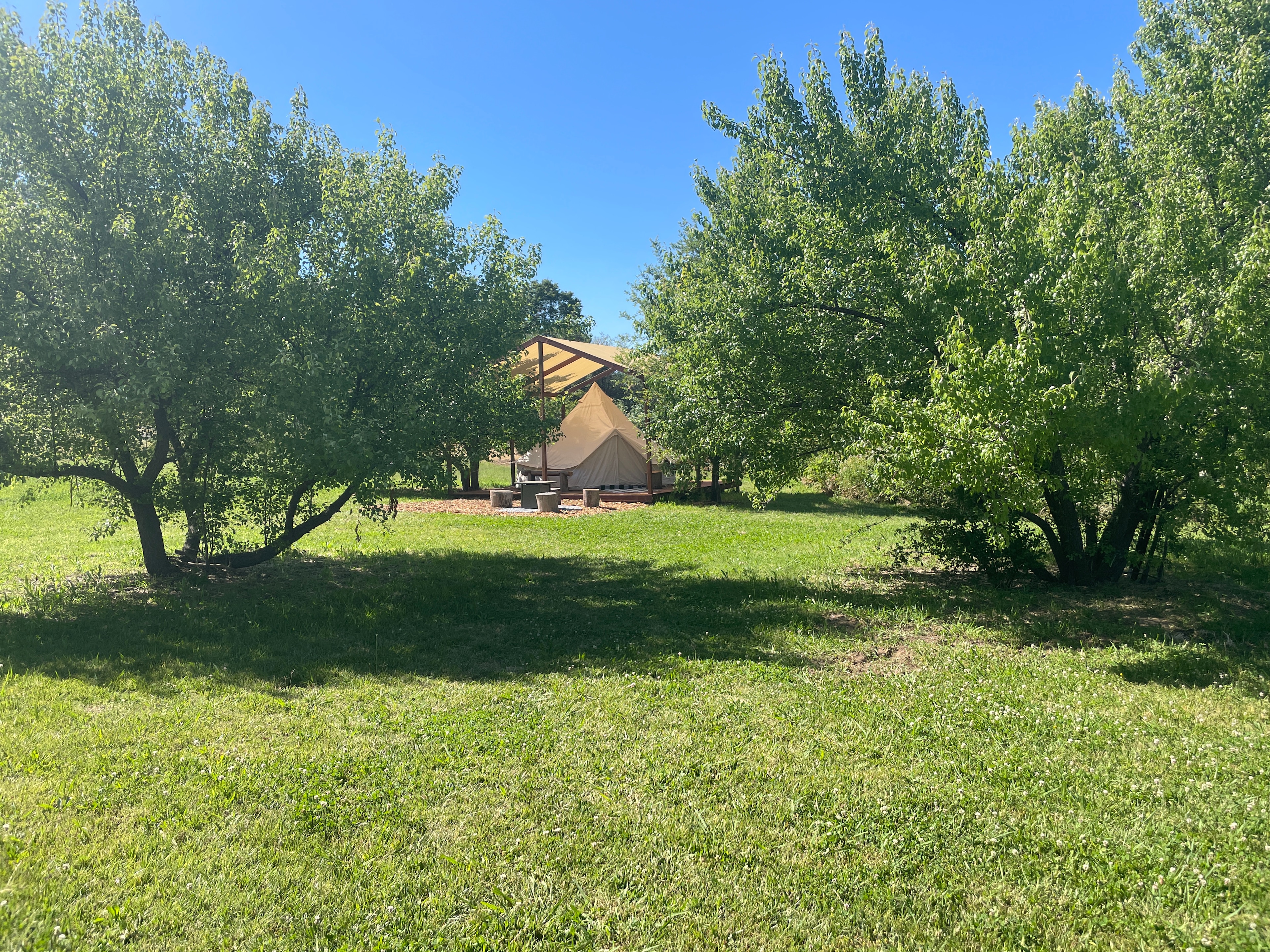 Solstice Farms