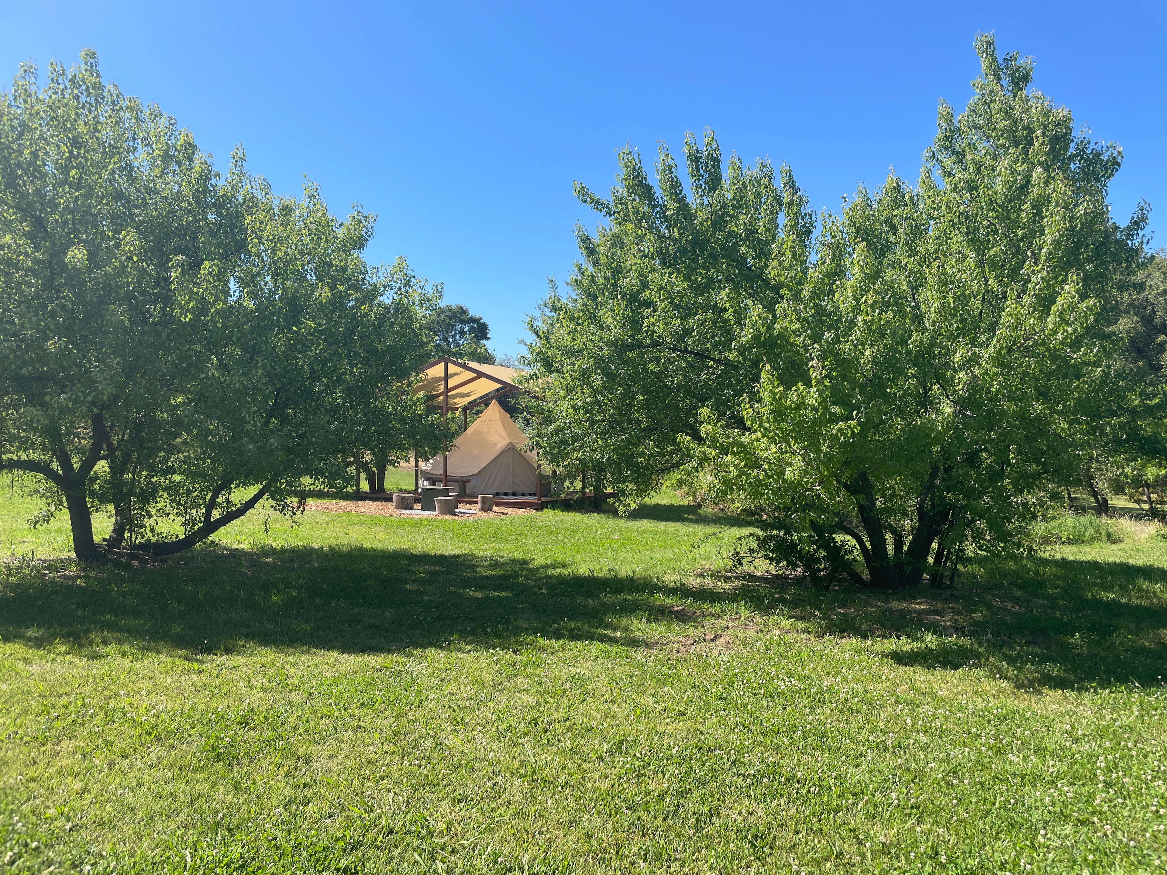 Solstice Farms