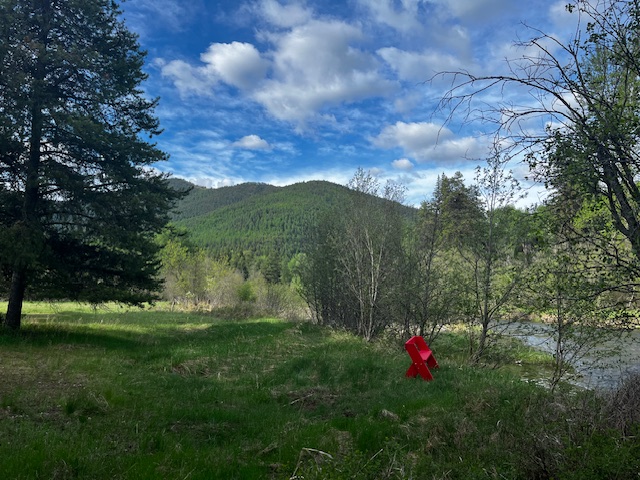Wild Farm Camp