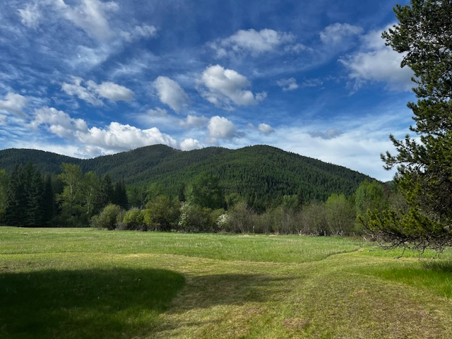 The valley sits under Mt Jumbo which has a short but very steep trail to the top