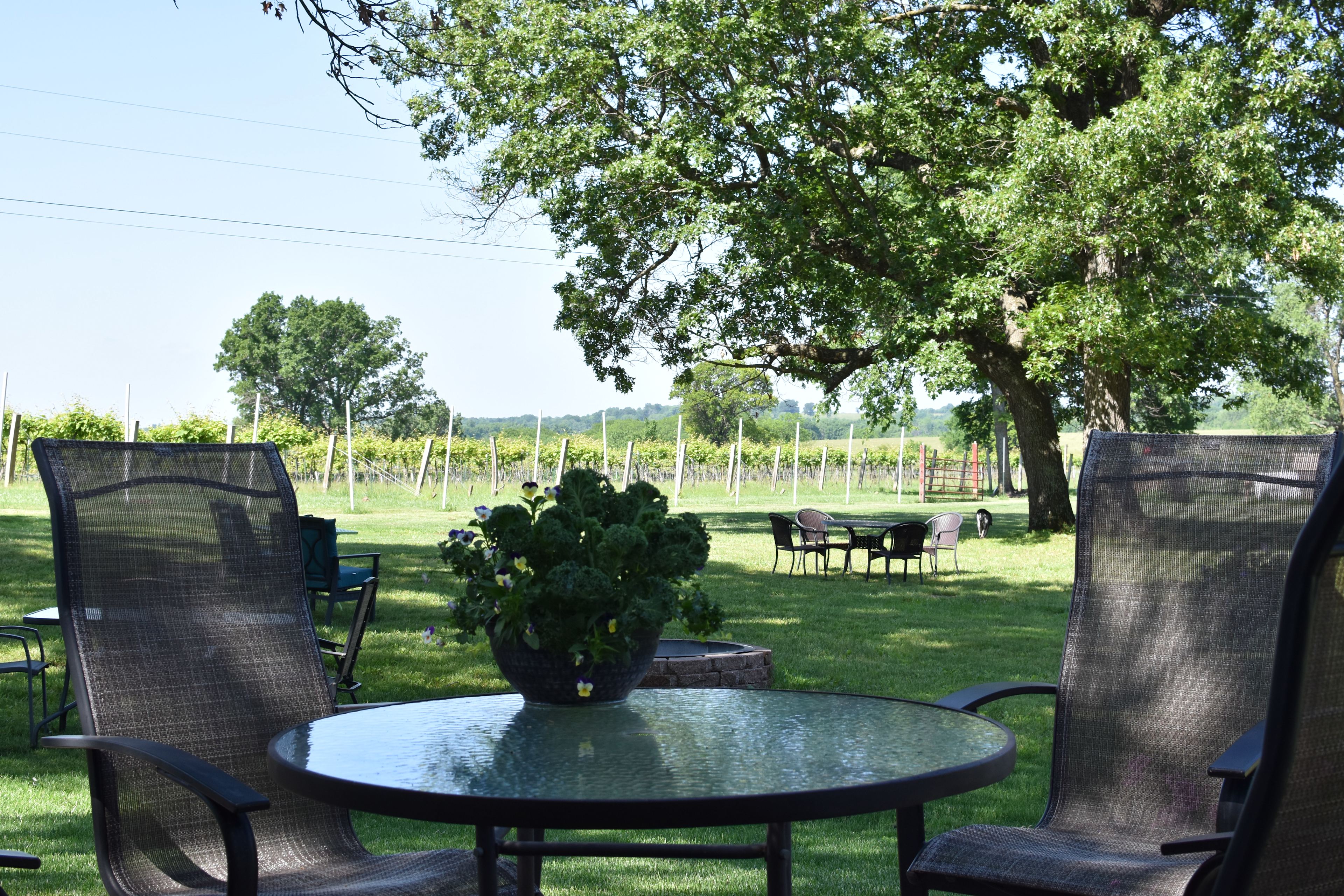 Hopewell Bridge Winery And RV Park