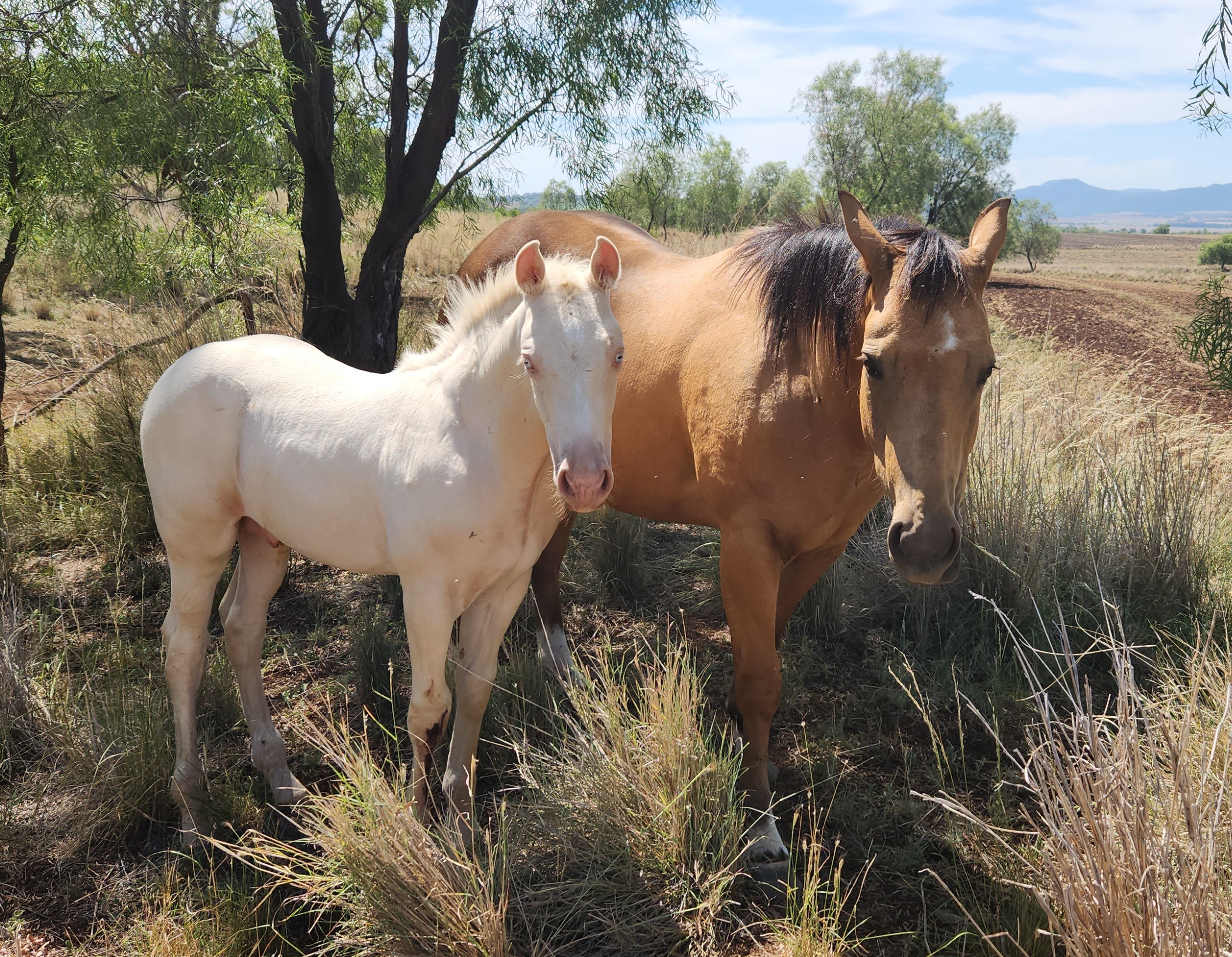 Eastgrove Organic Farm Stay