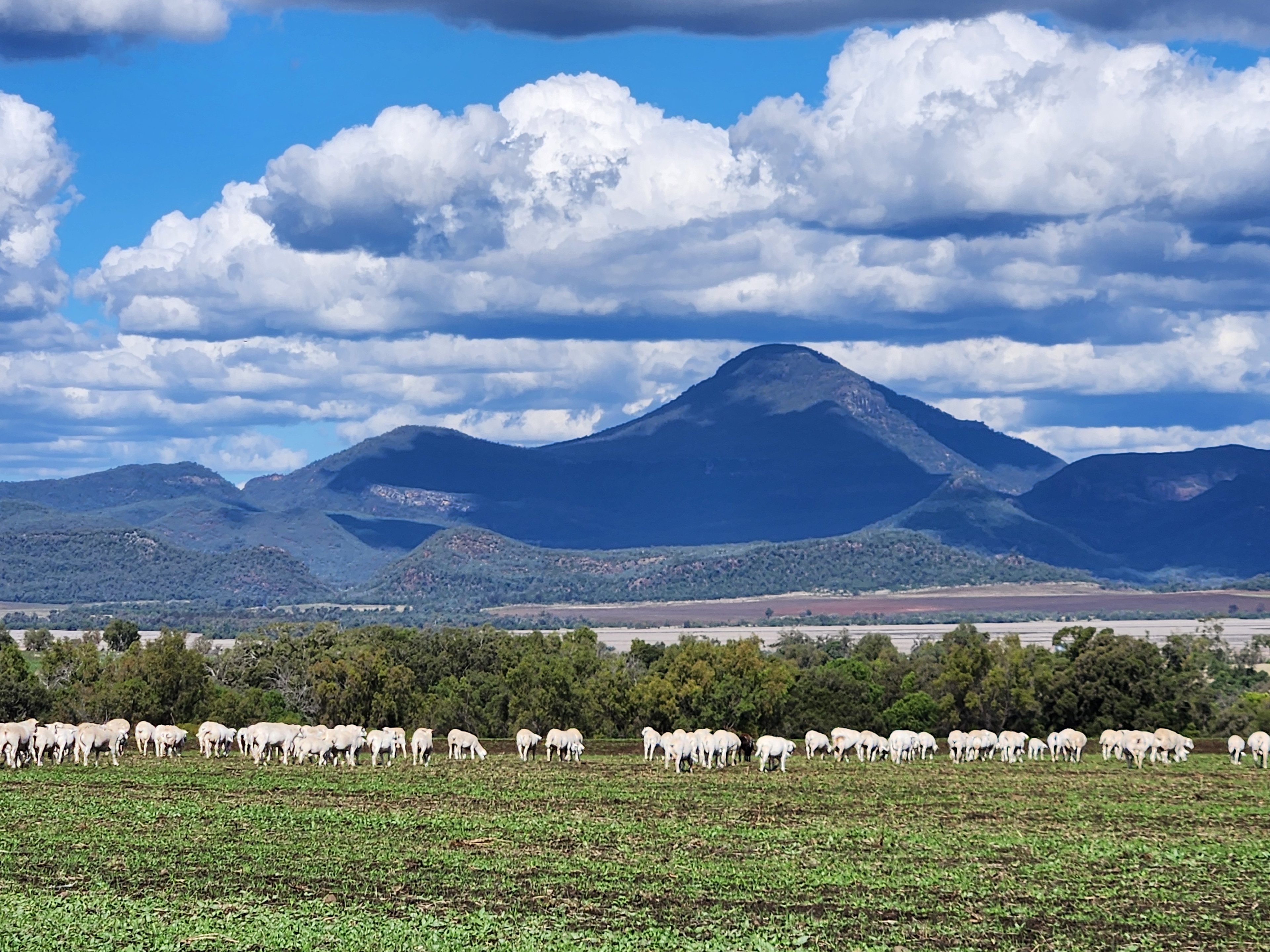 Eastgrove Organic Farm Stay