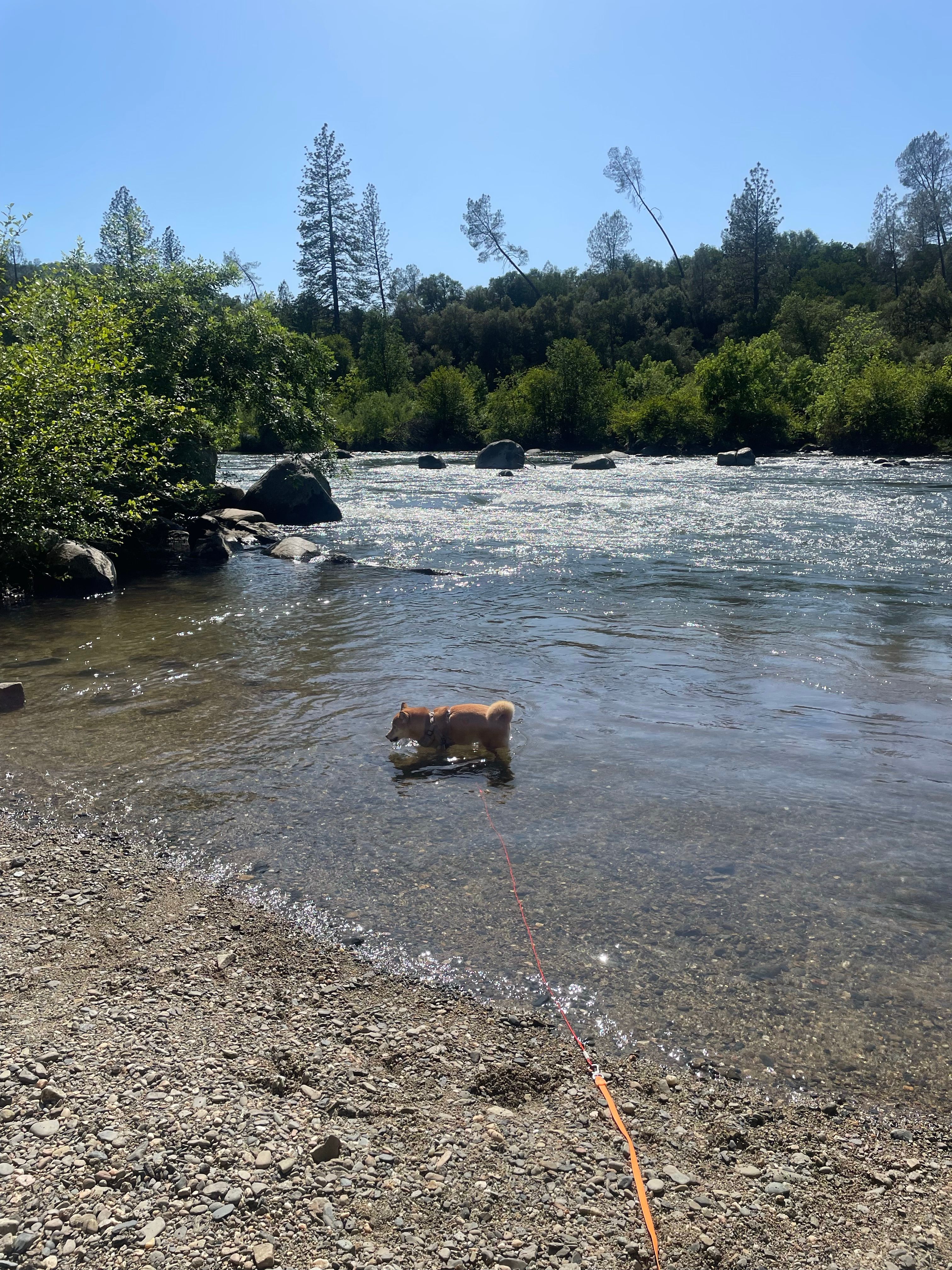 RockNWater Cove Camping