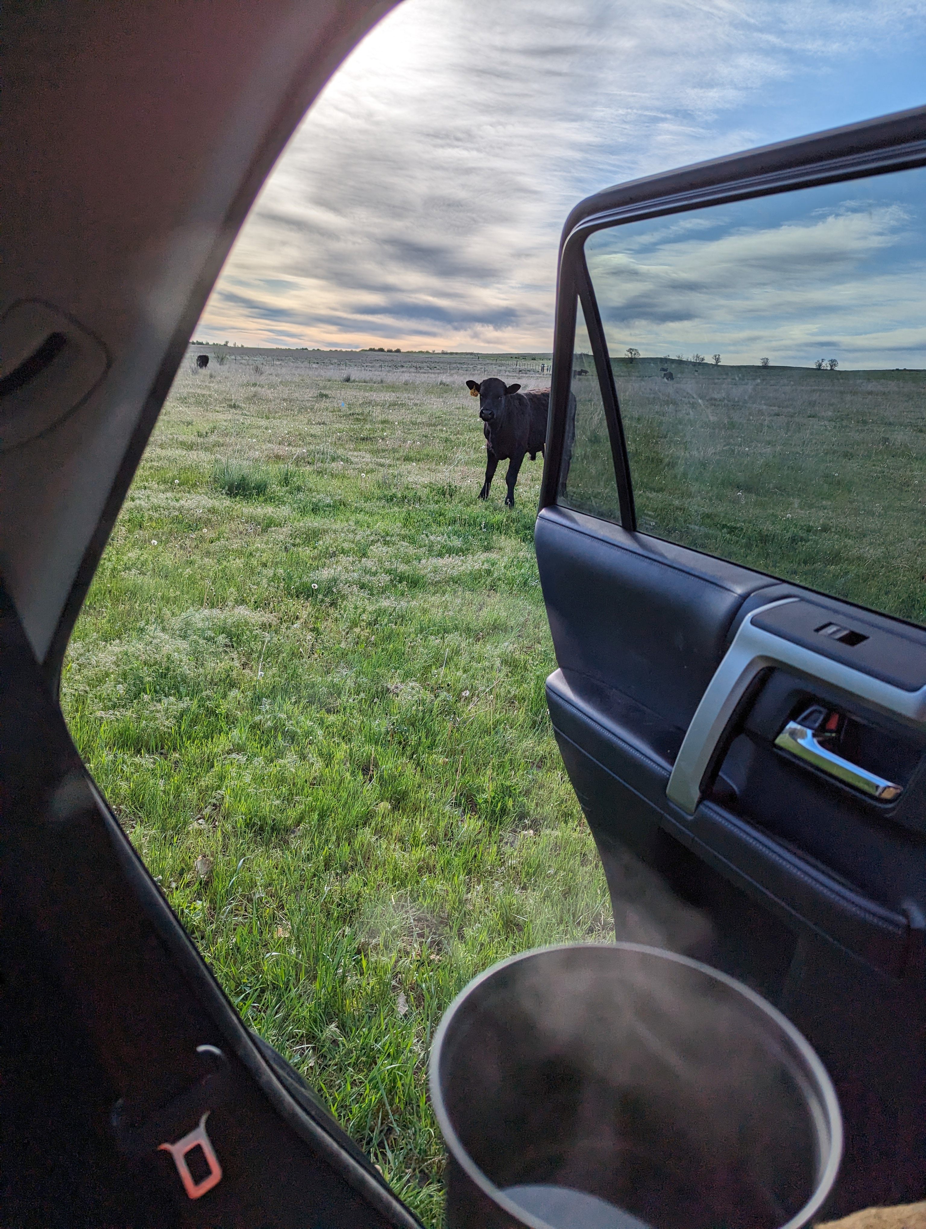 Trees, Lake view, Rock buttes!