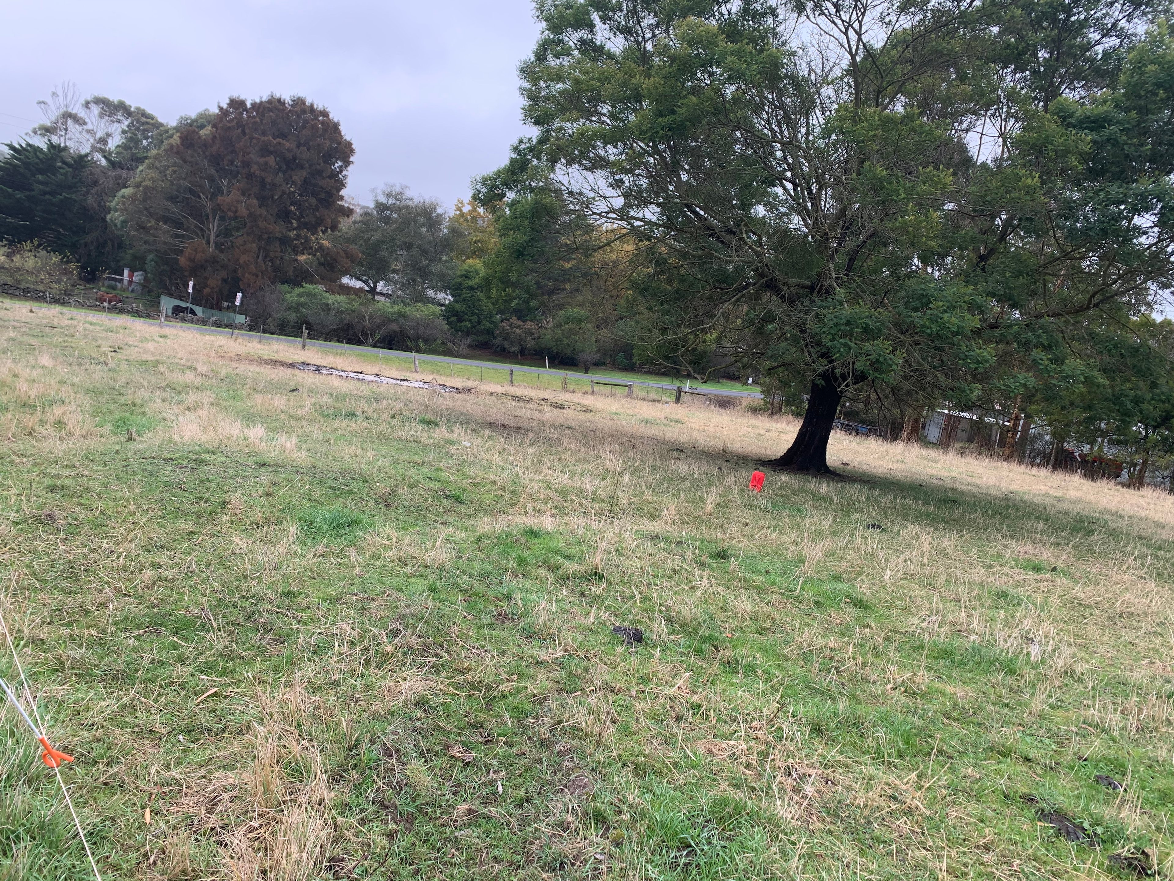 Cosmic camping in byaduk