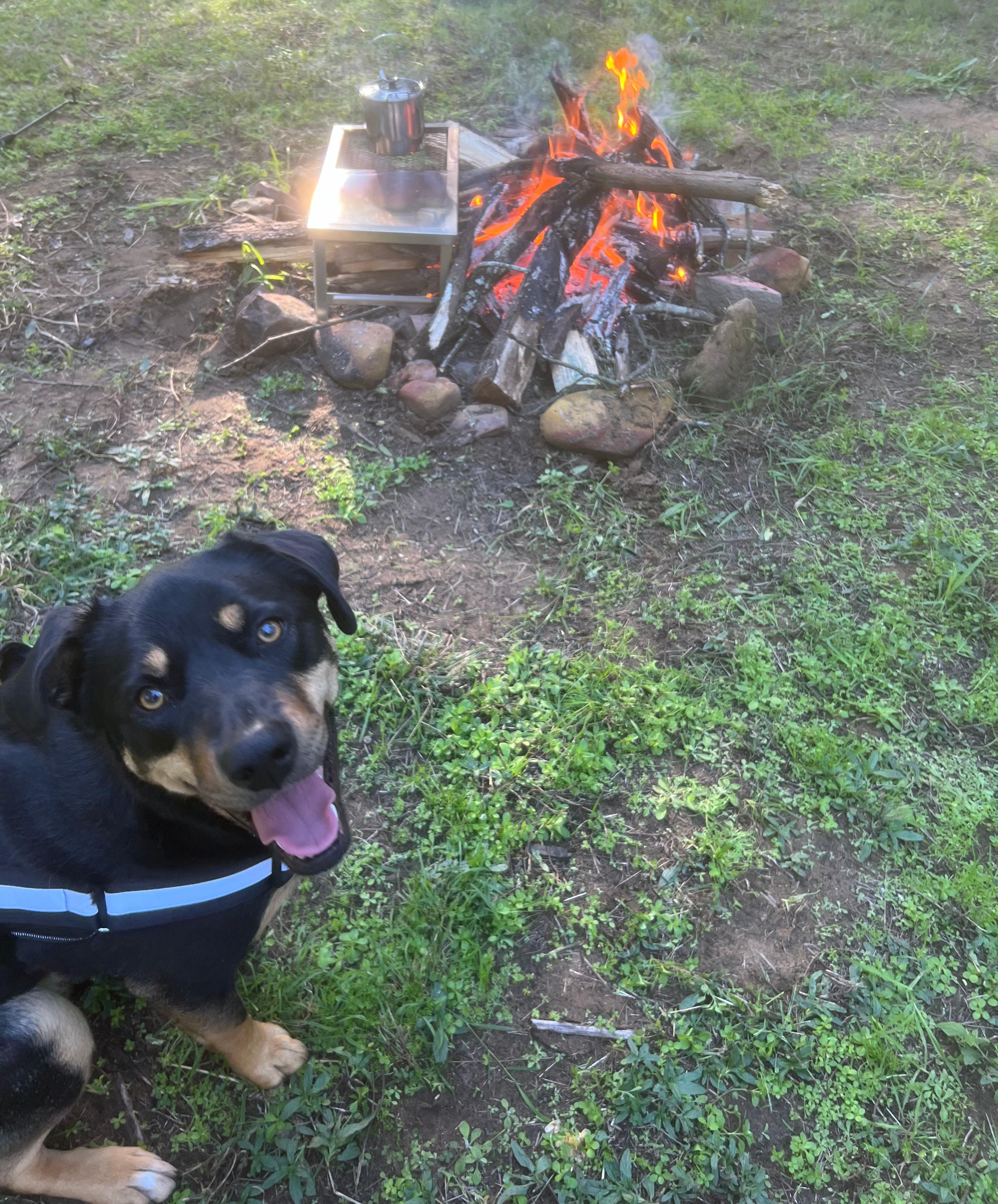 Beelisco Honey Hipcamp