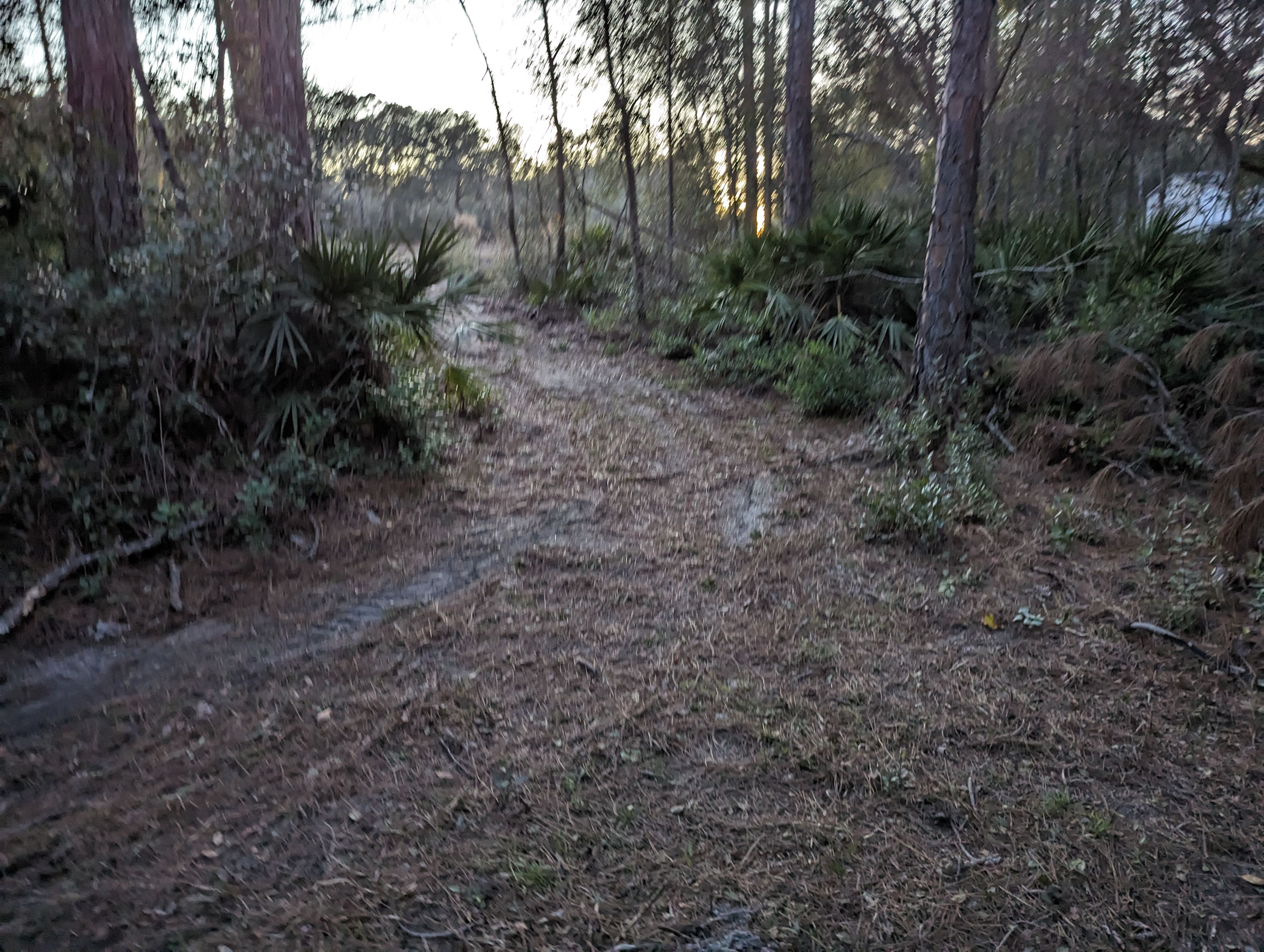 This is one entrance. We are currently getting gravel brought in. 