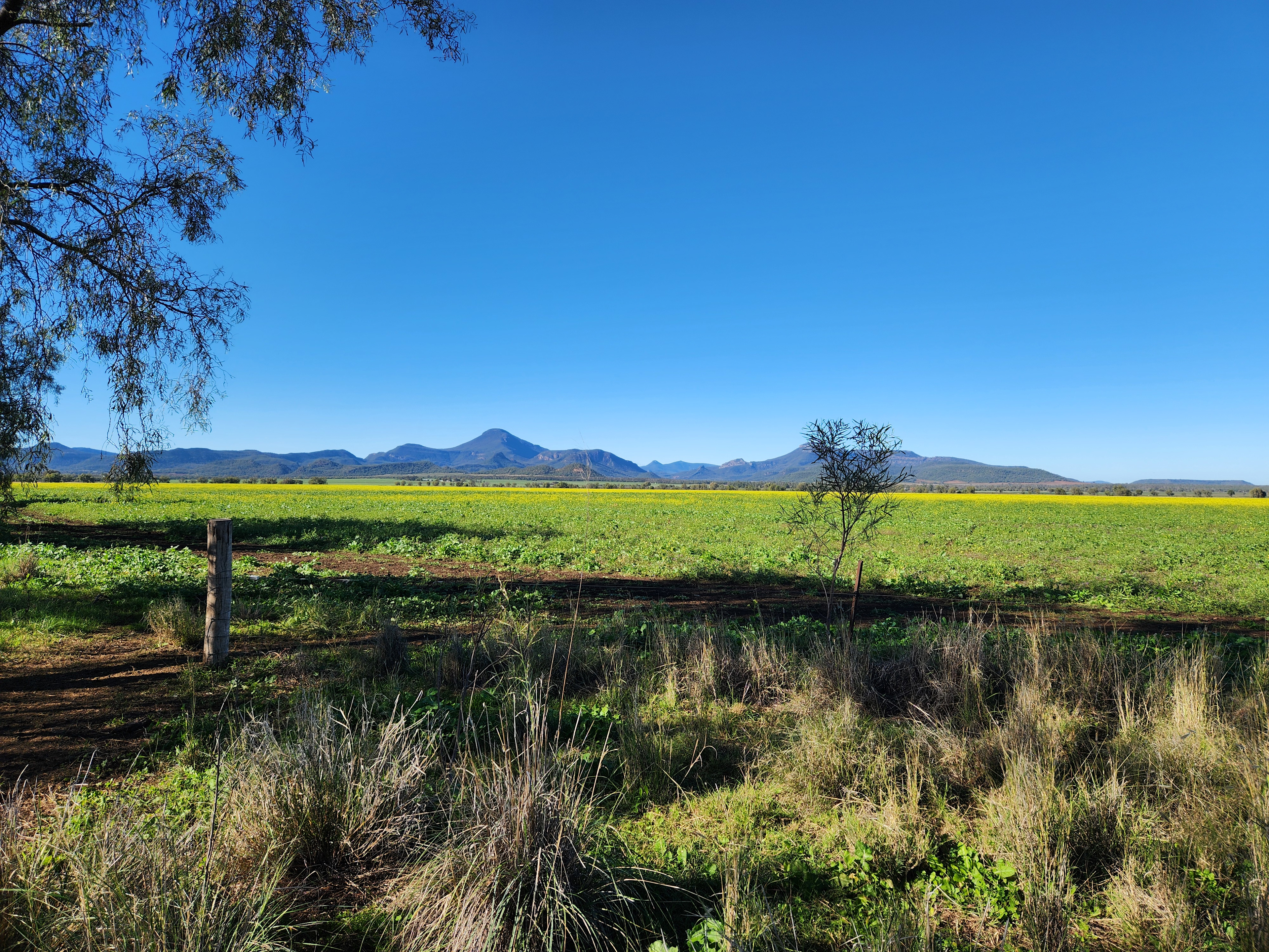 Eastgrove Organic Farm Stay