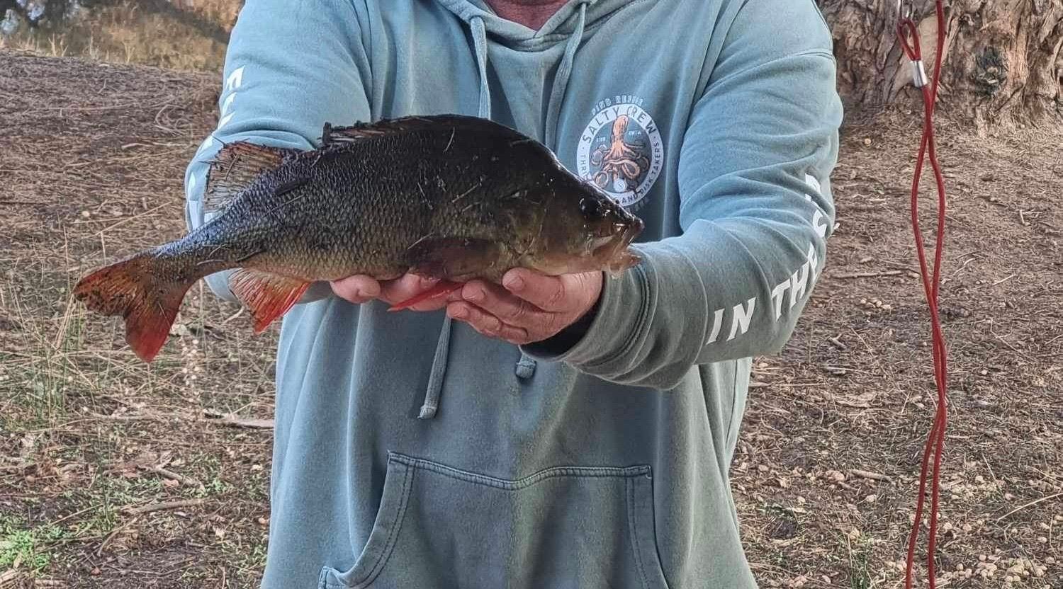 Murray Valley Camping