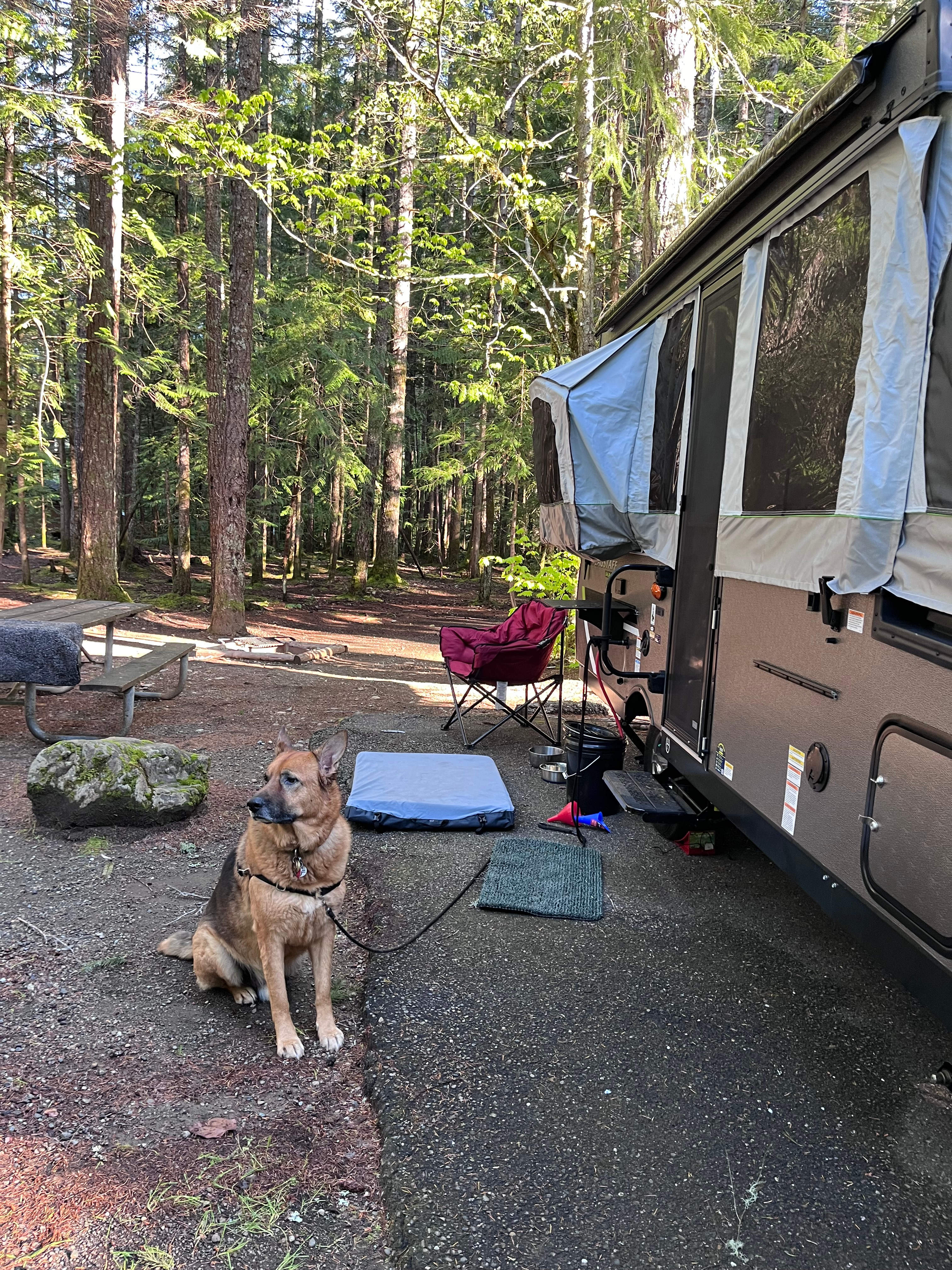 Skokomish Park At Lake Cushman