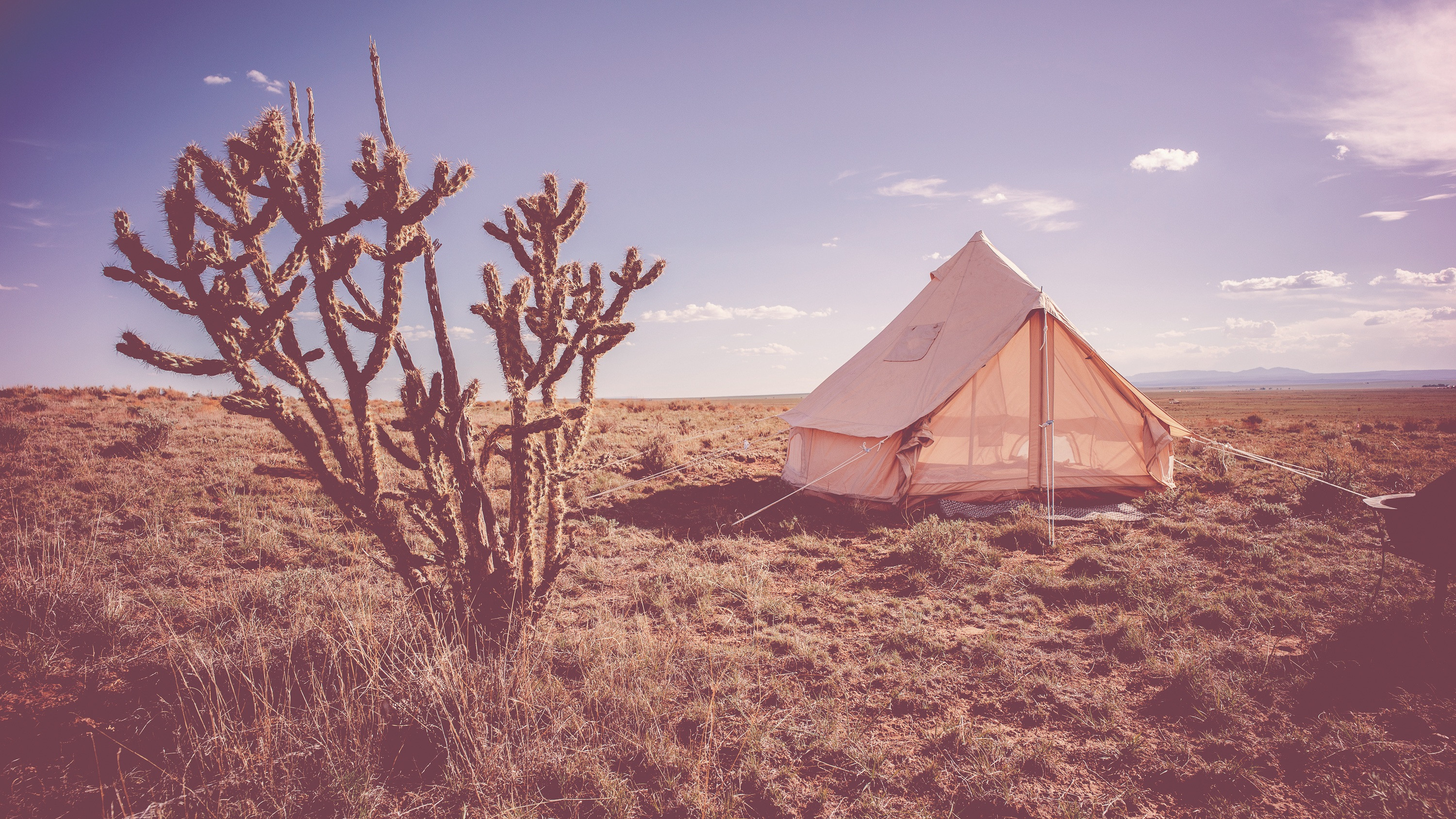 Campsite