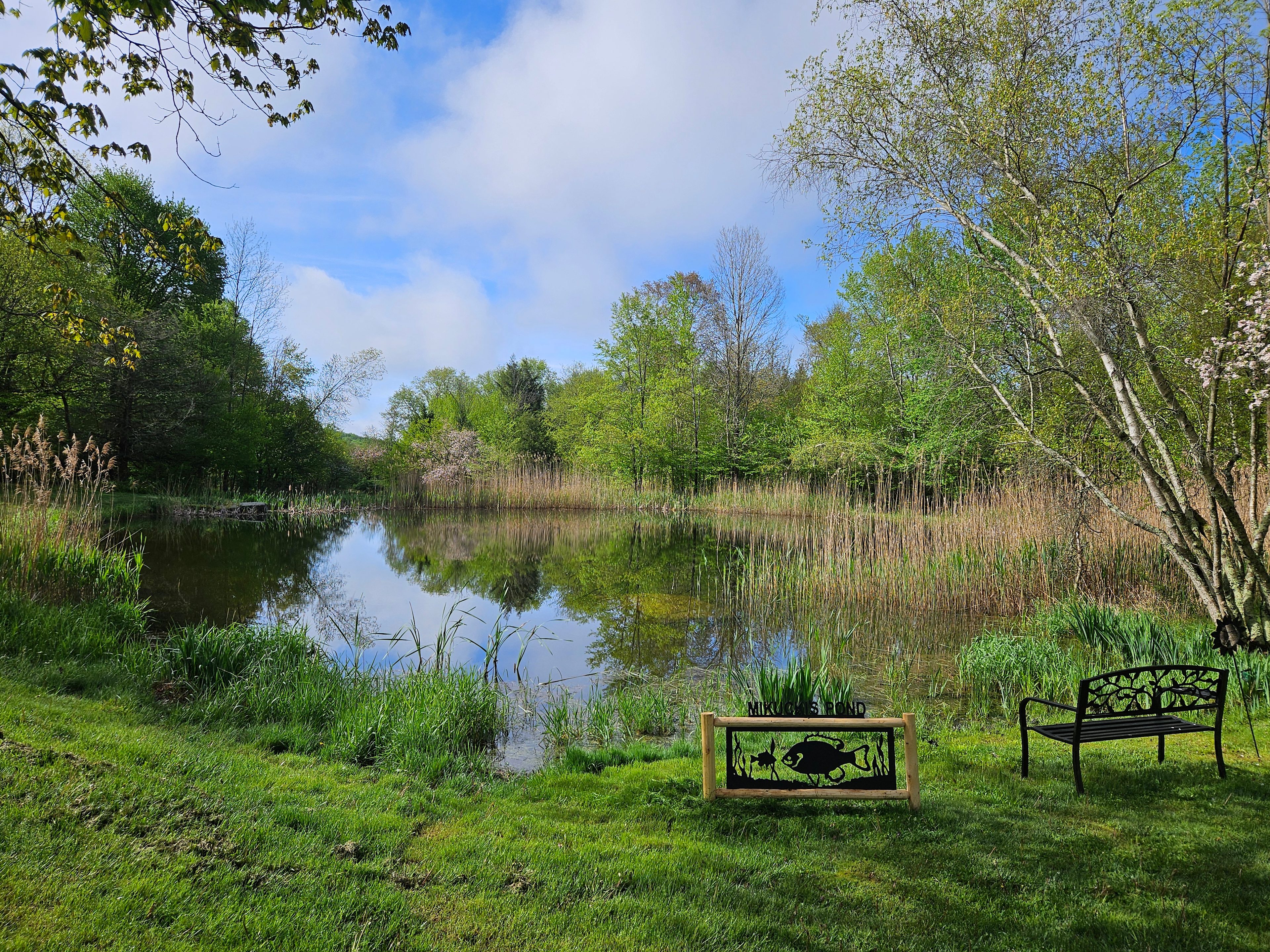 Relaxing Pondside Campsite