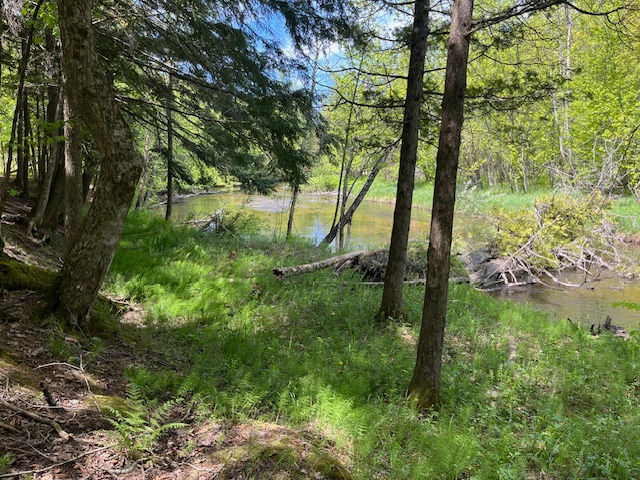 Secluded River Ridge Campsite
