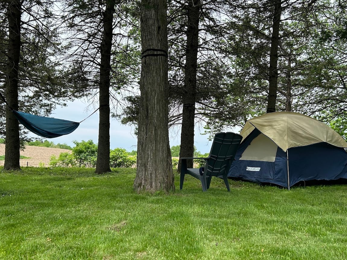 Views to the west provide a spectacular spot for watching the sunset!  A relaxing place for a hammock as well! 