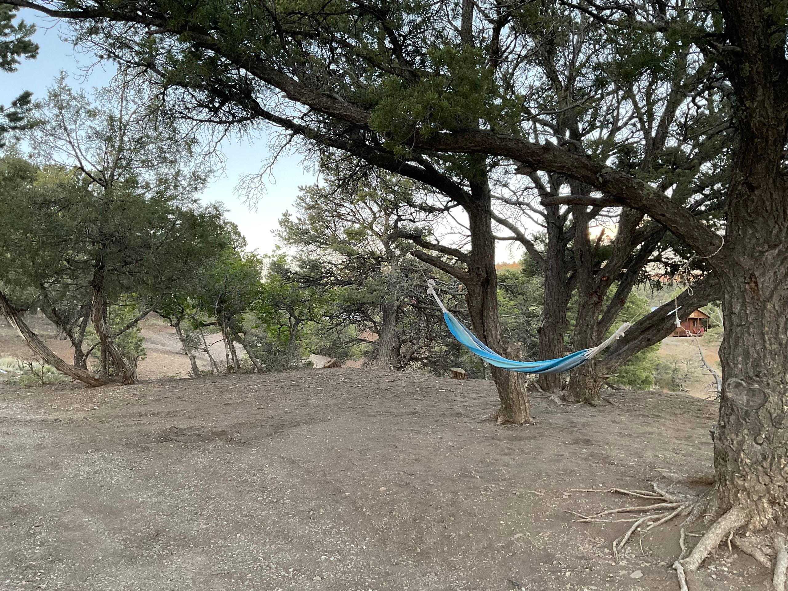 Campground Hammock near Campsites