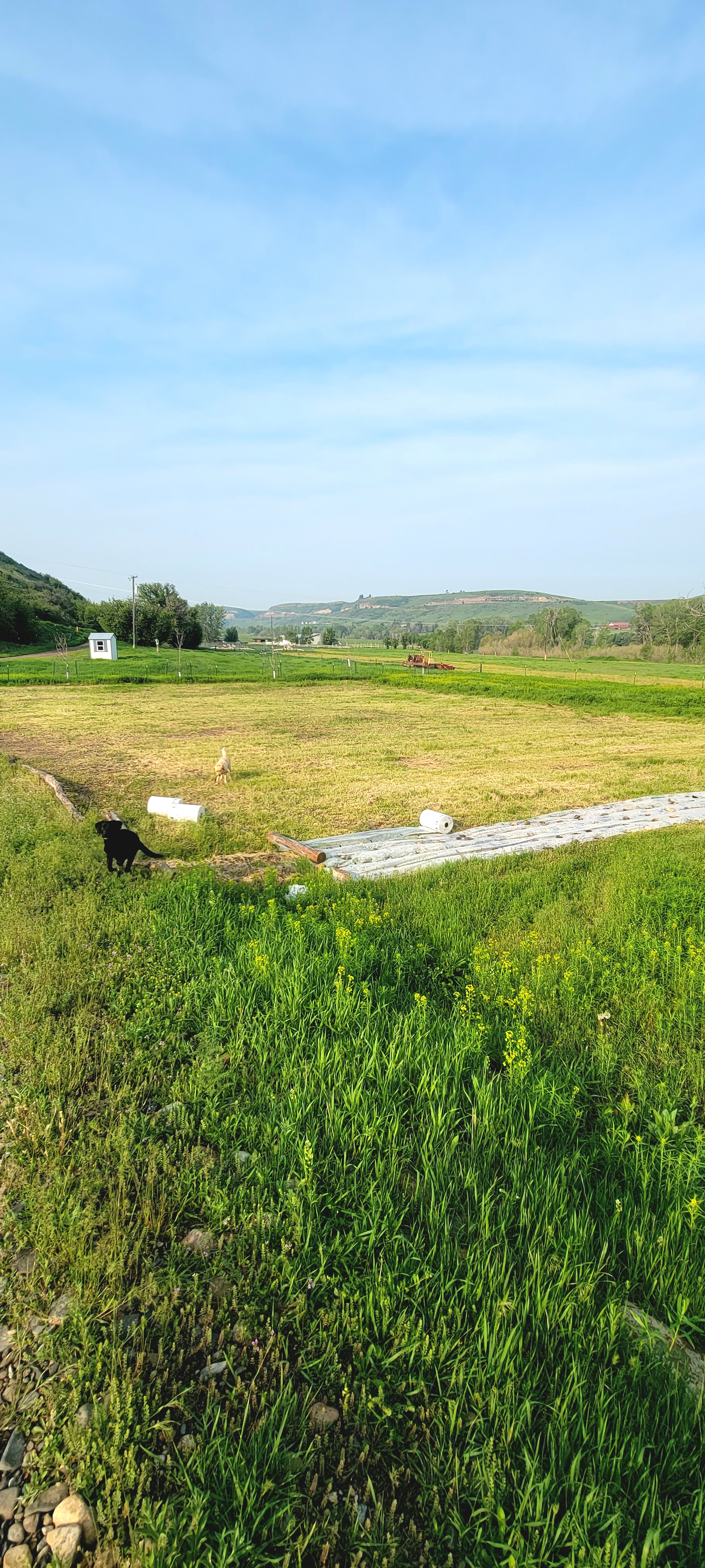 Farm Valley Retreat