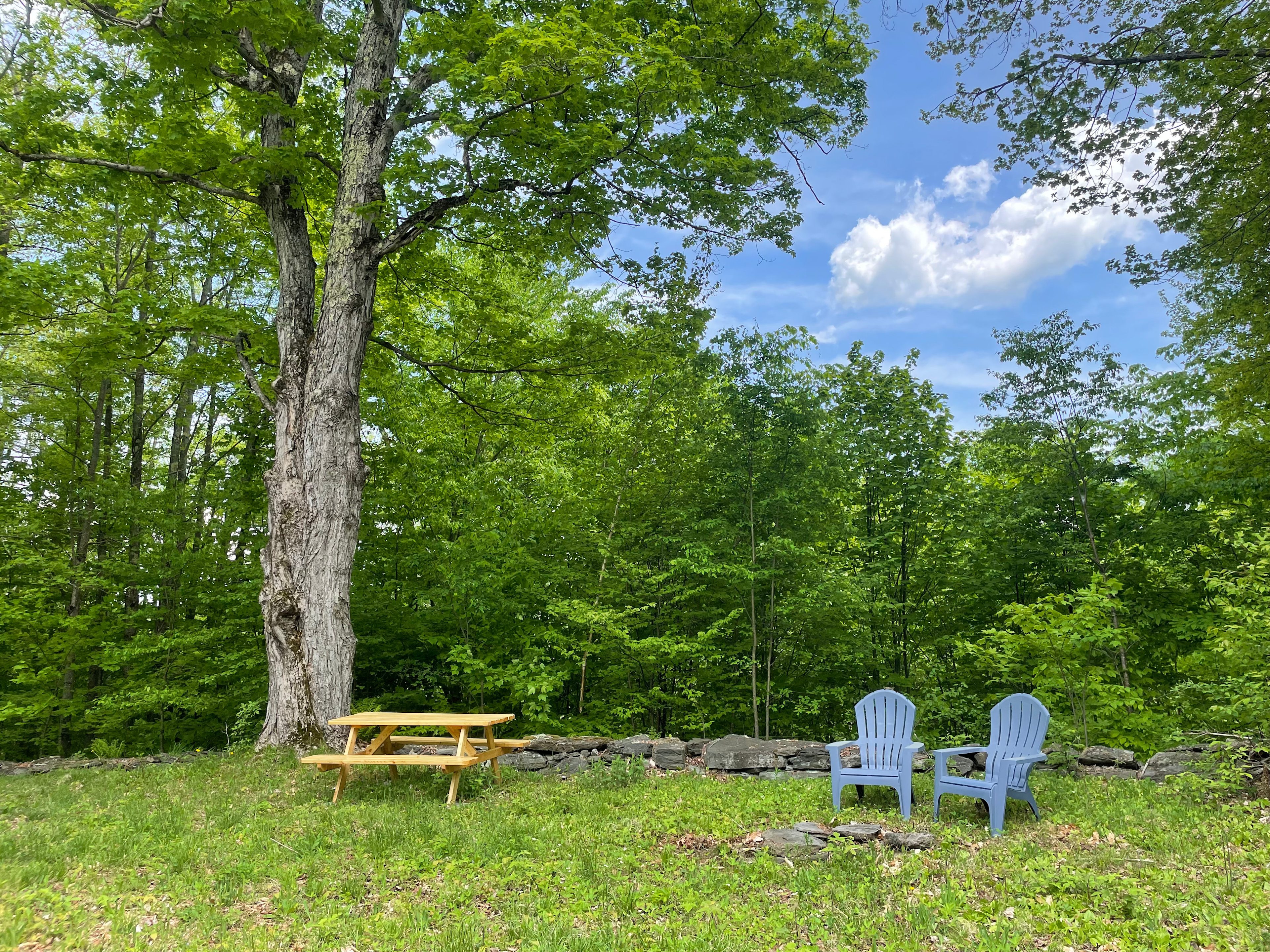 Hilltop Meadow On Broadbrook Mtn