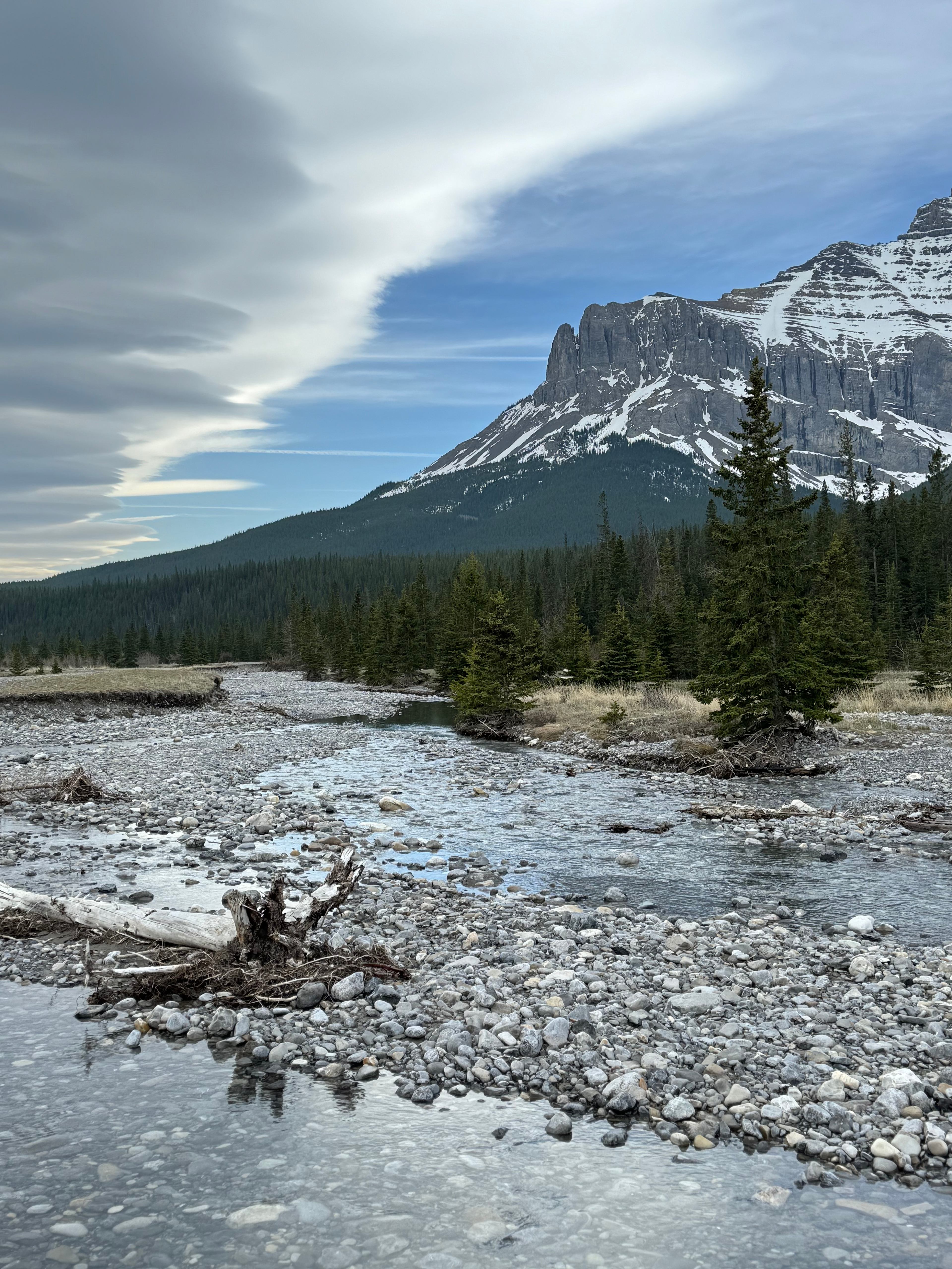Trappers Hill Lodges & Campground