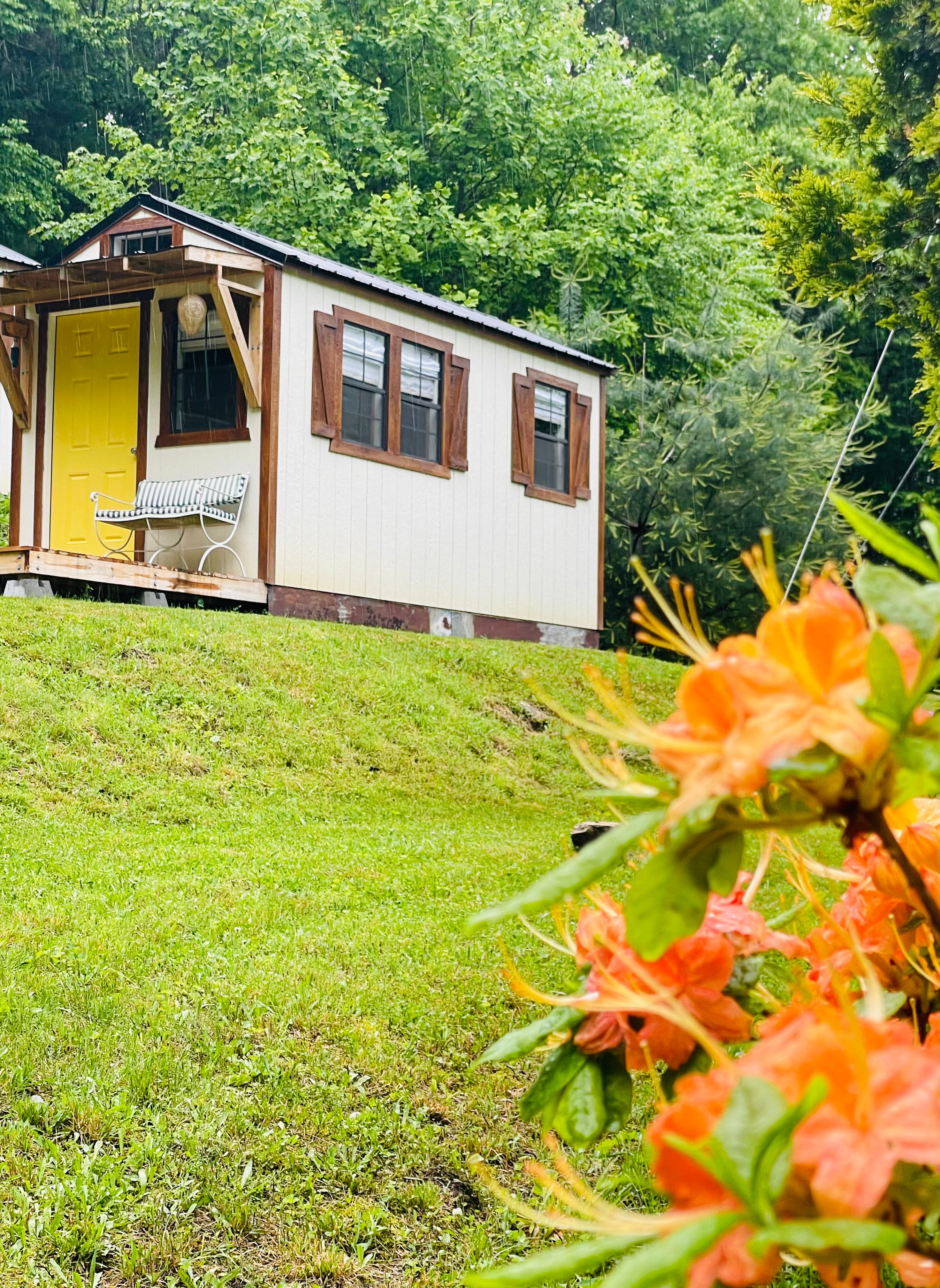 Bear Creek Mountain Camping