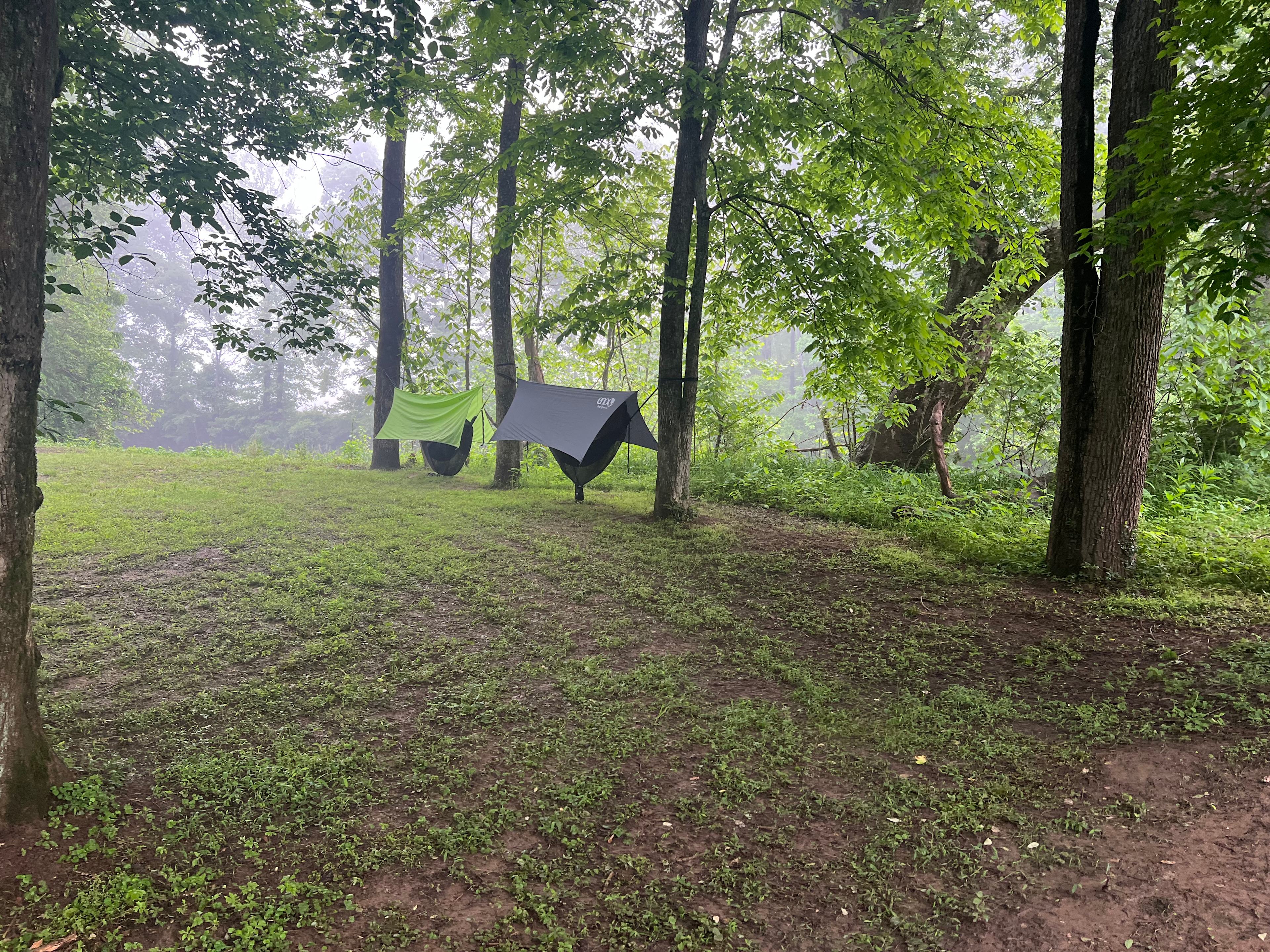 Camping on the Hazel River