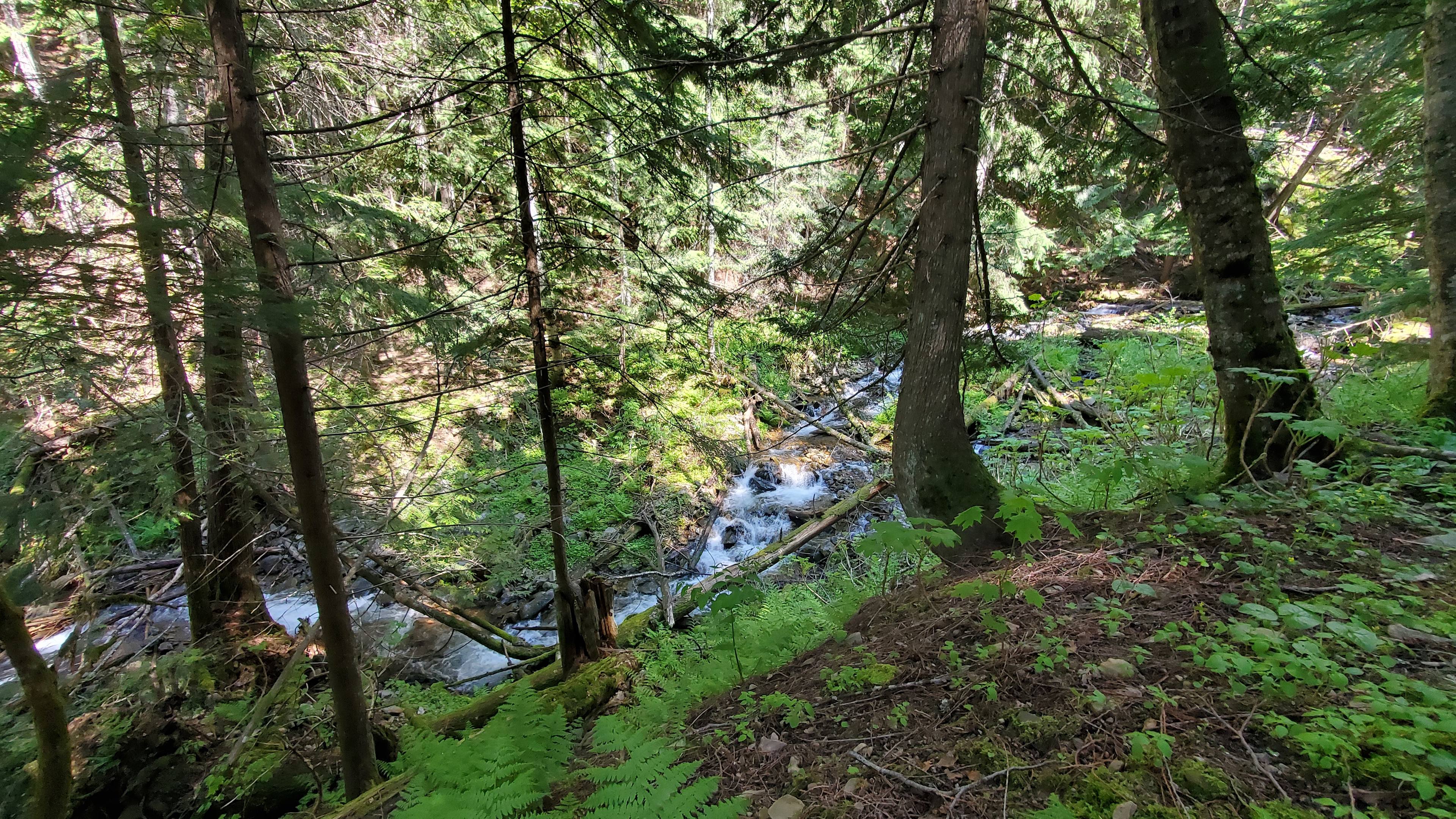 Maverick Mountain Home