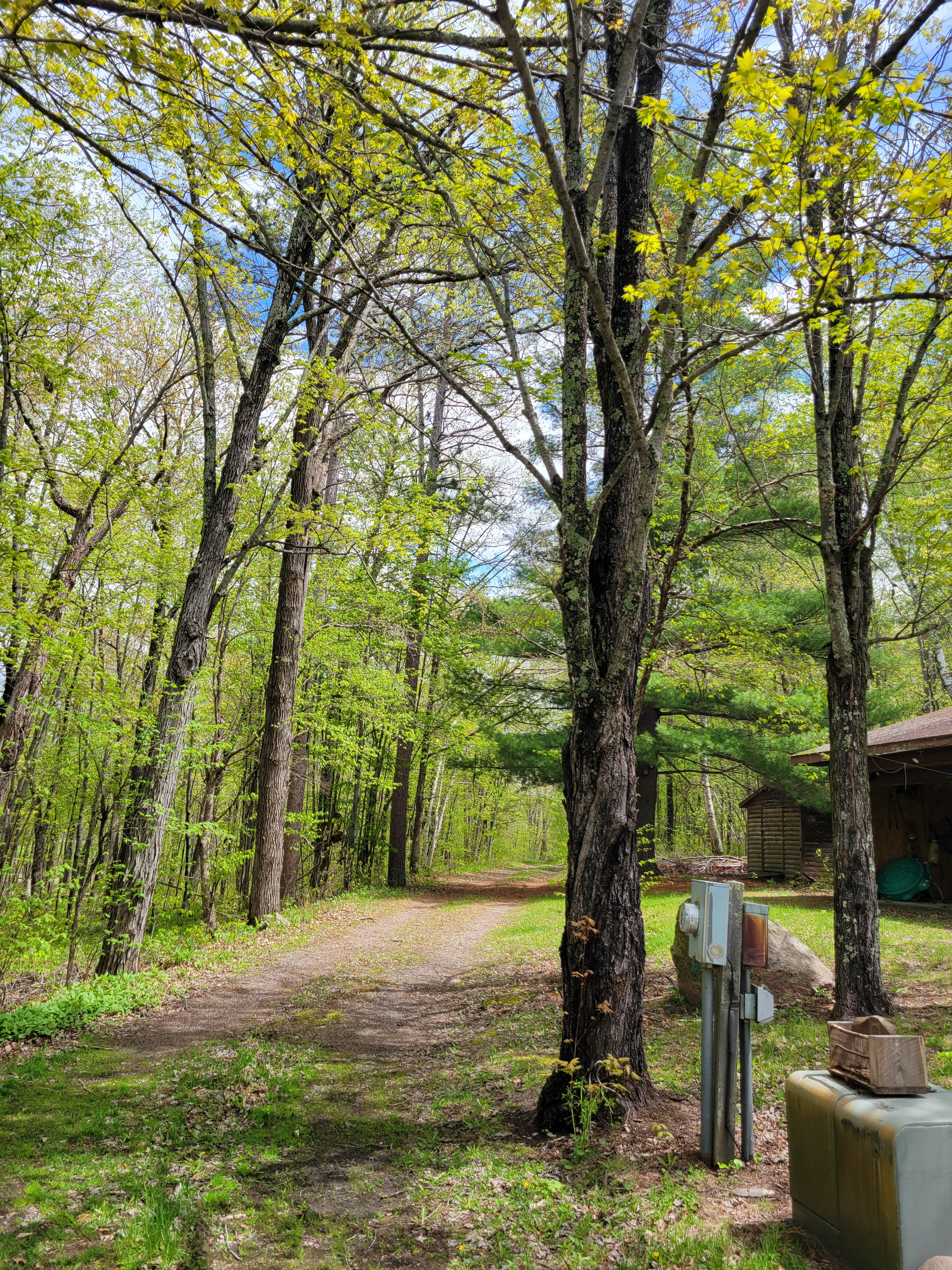 Winding Woods on Pine River
