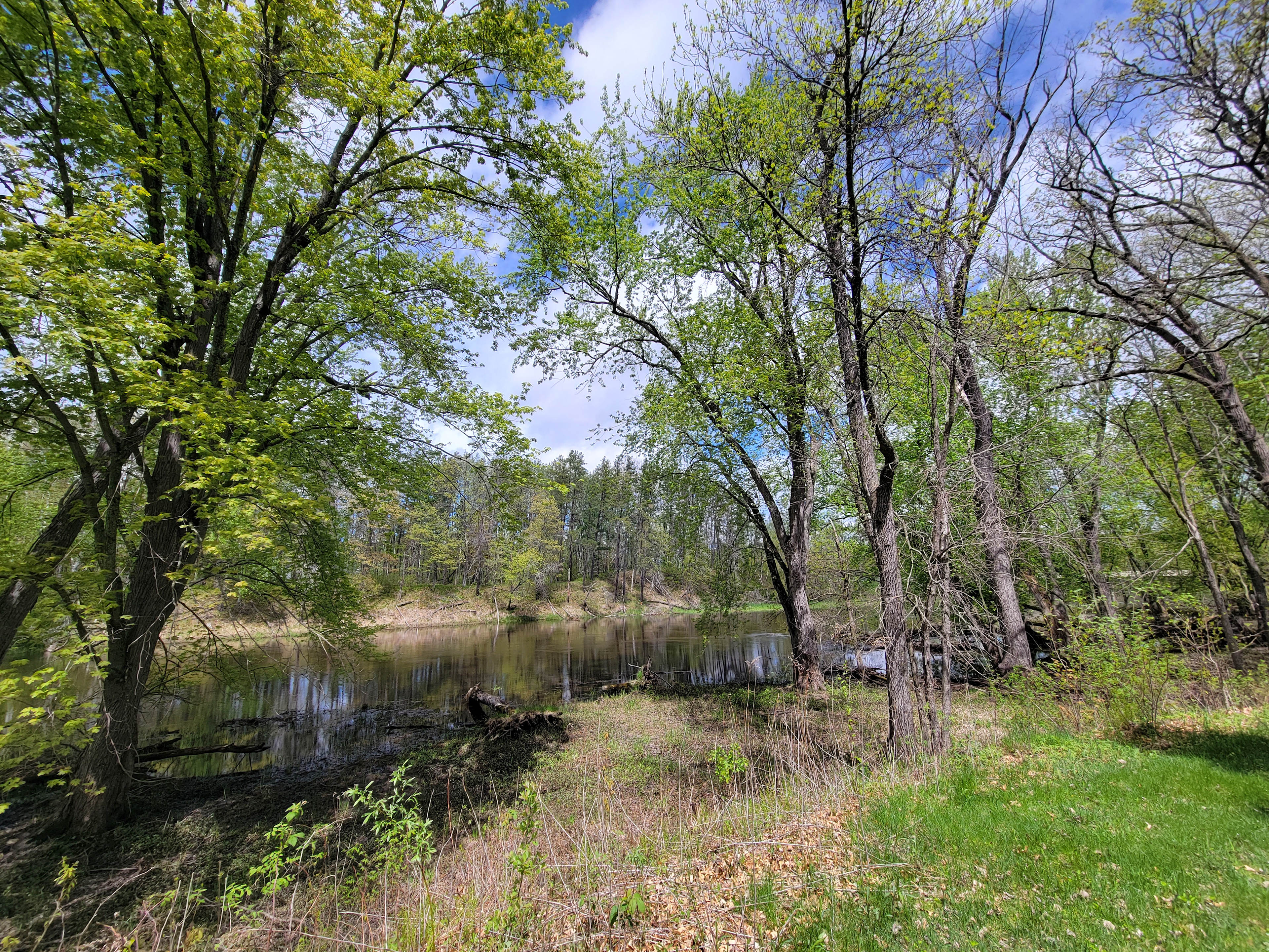Winding Woods on Pine River