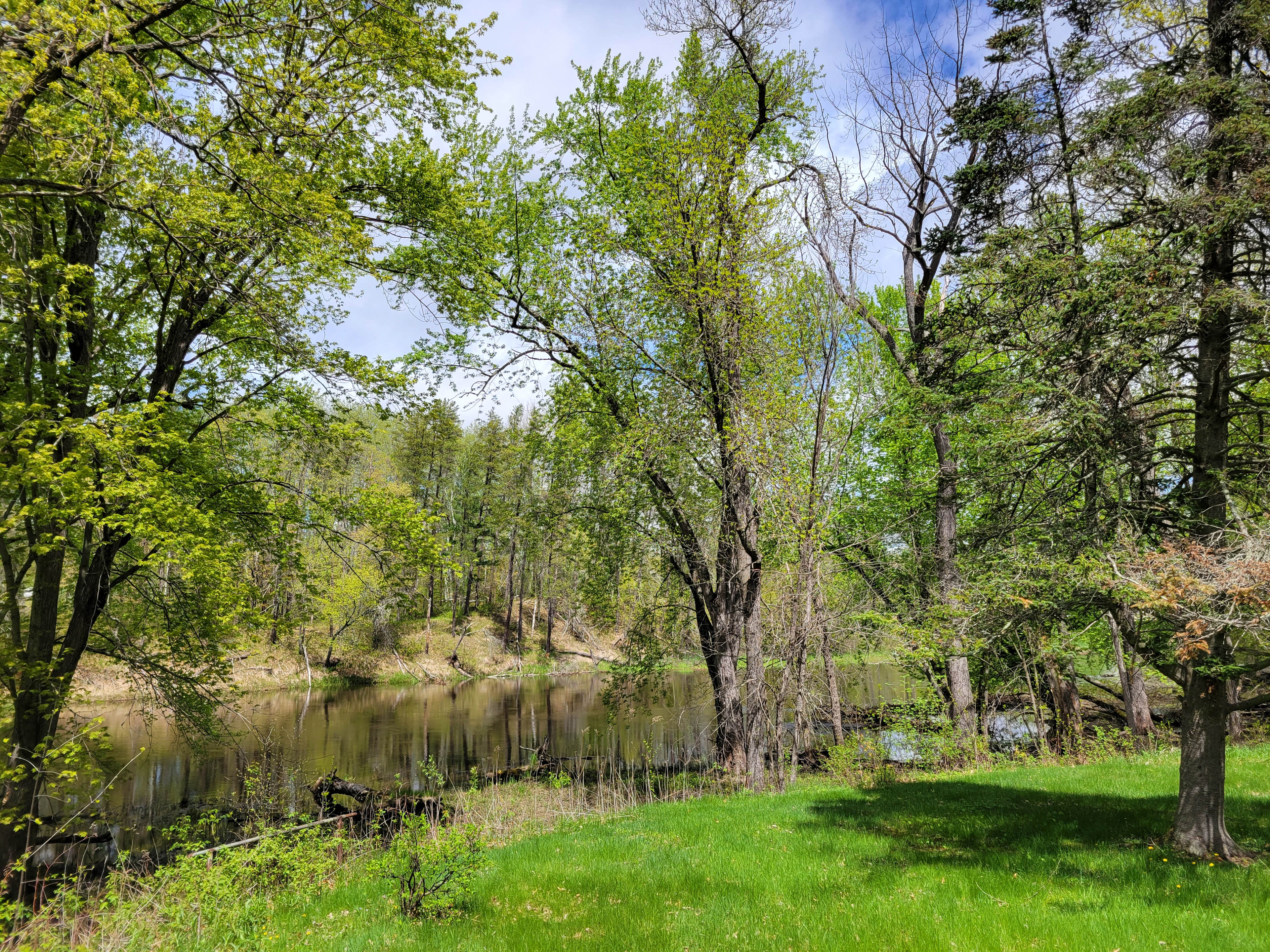 Winding Woods on Pine River