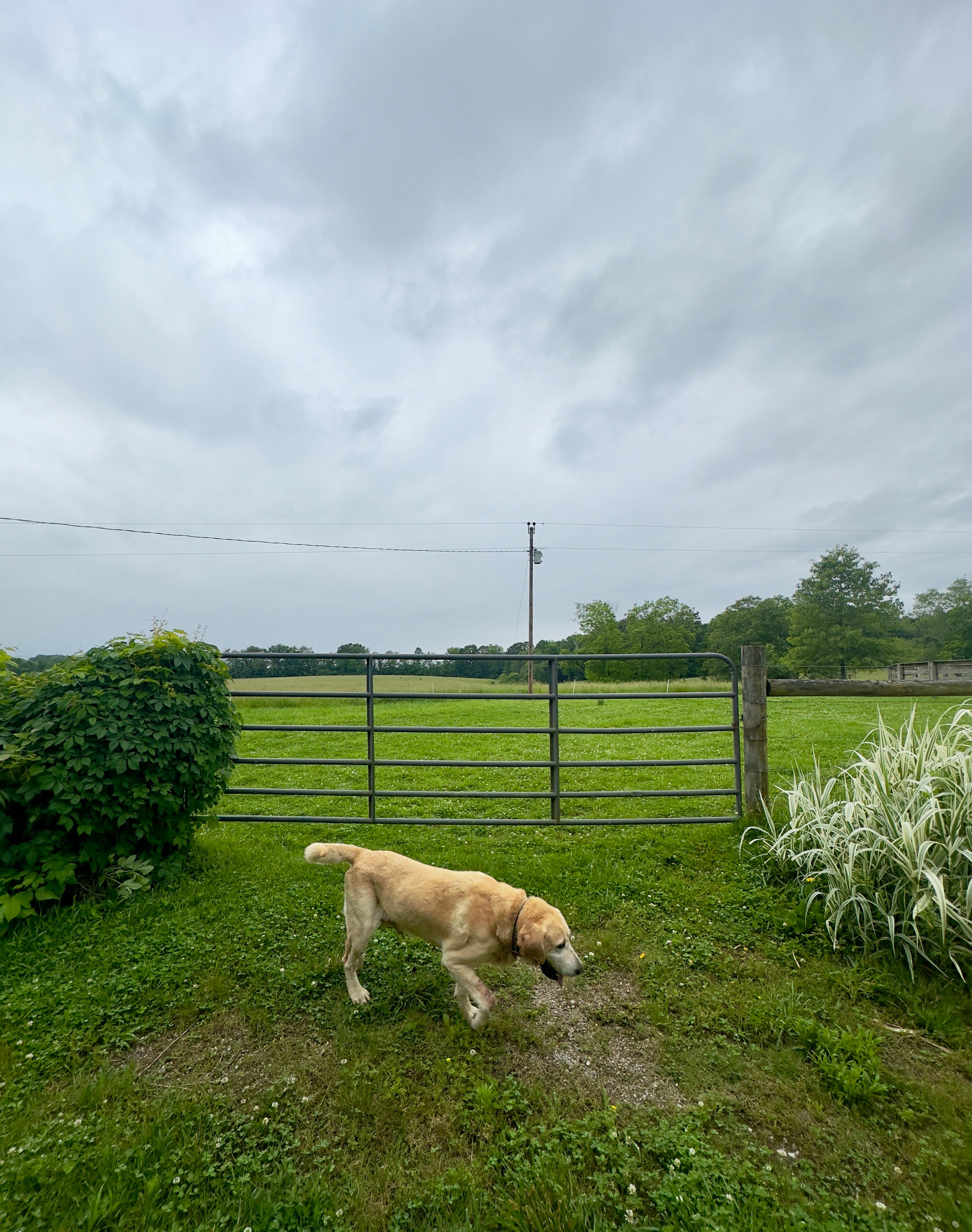 Rum Creek Cattle Farm