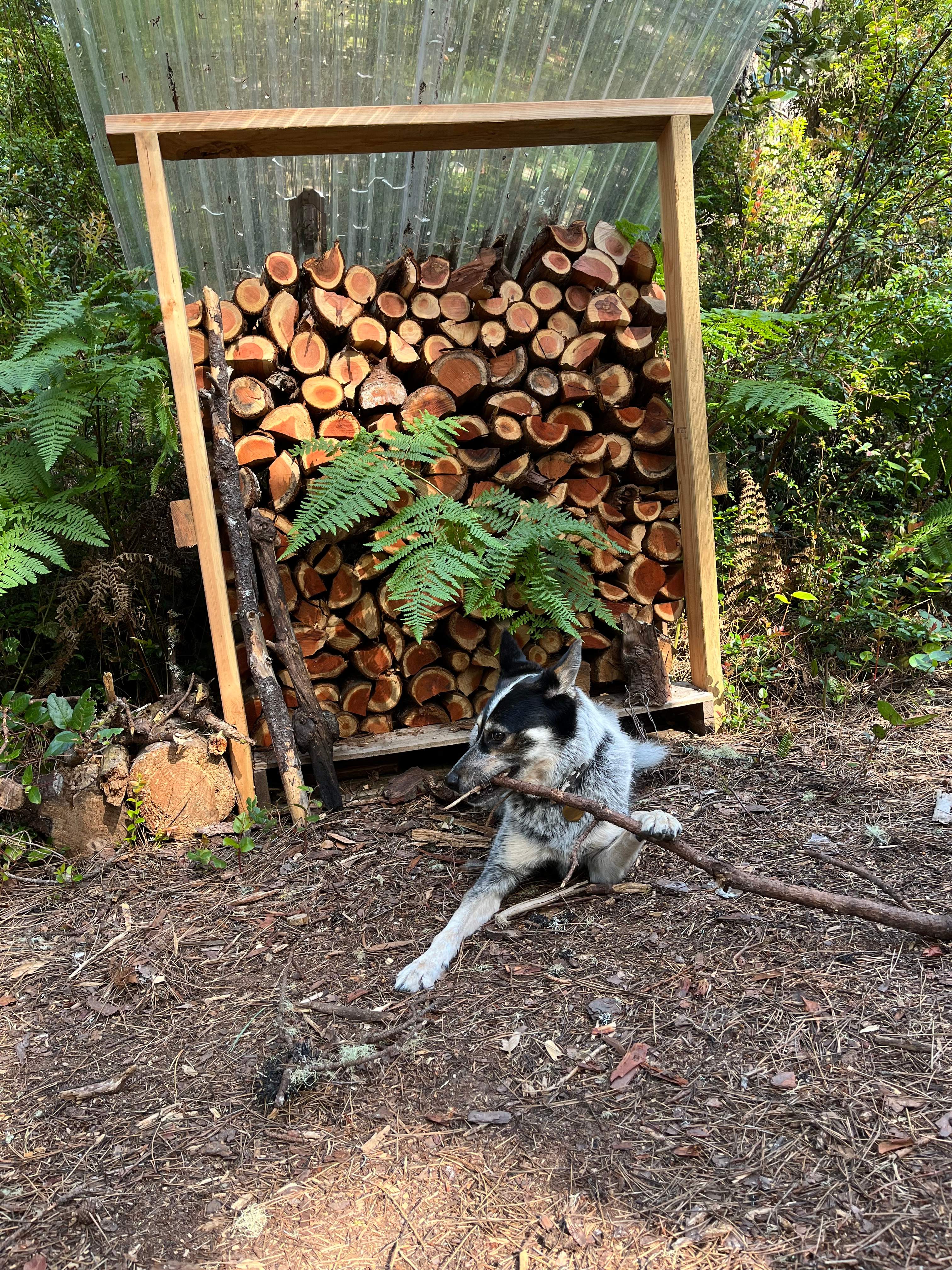 Fire wood available
