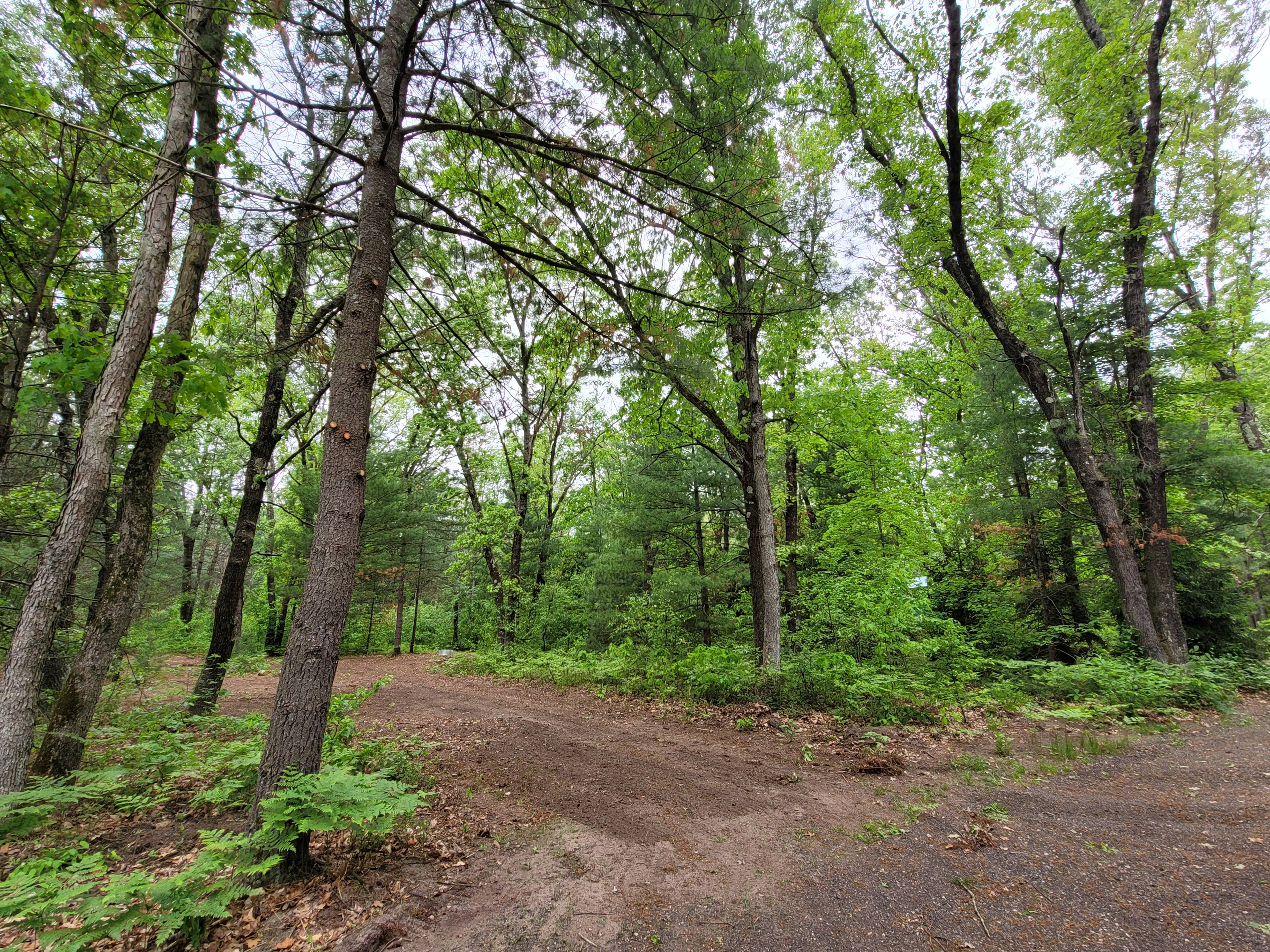Site 4 entrance from driveway