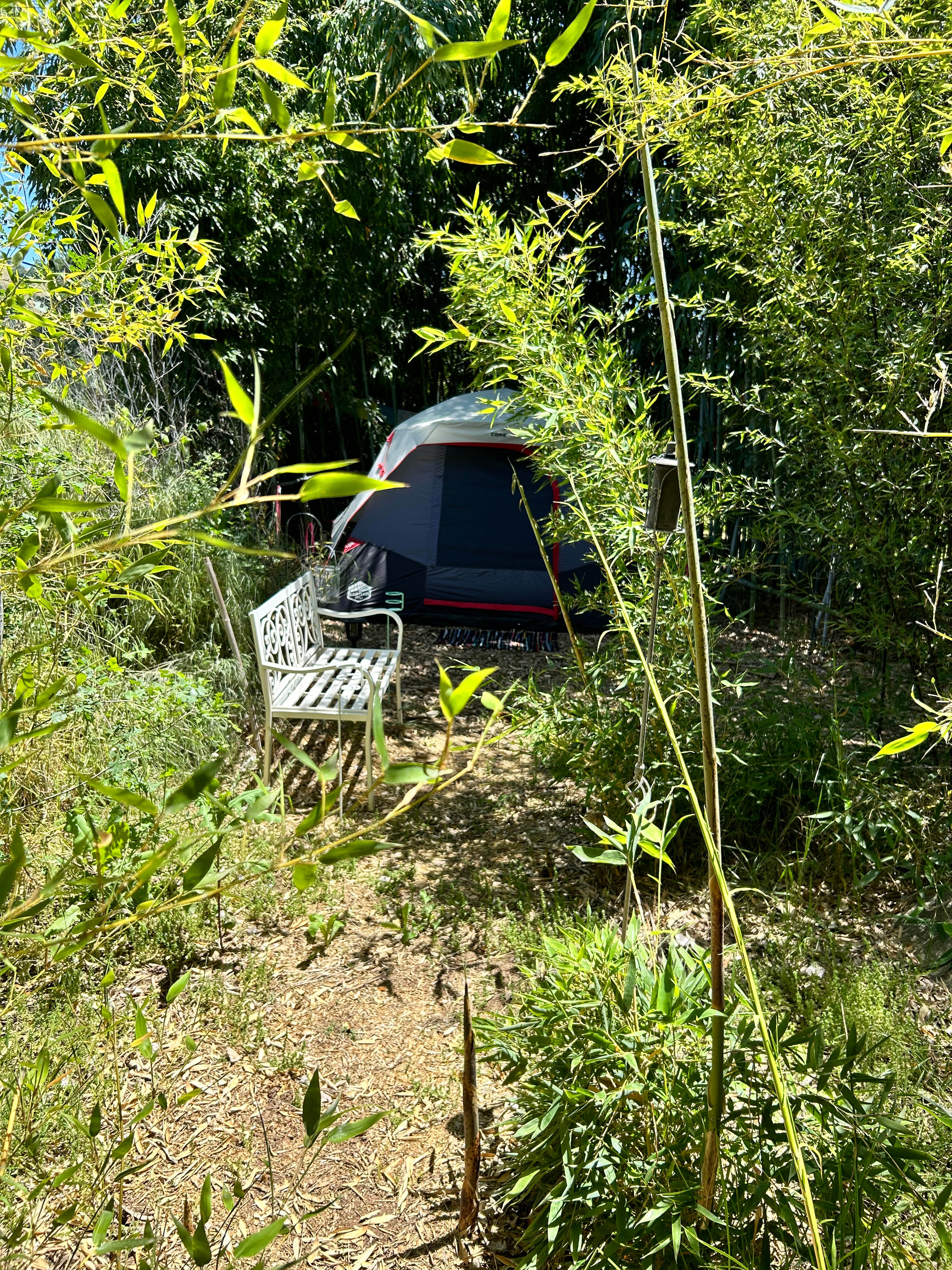 Zen Camp/Bamboo Retreat