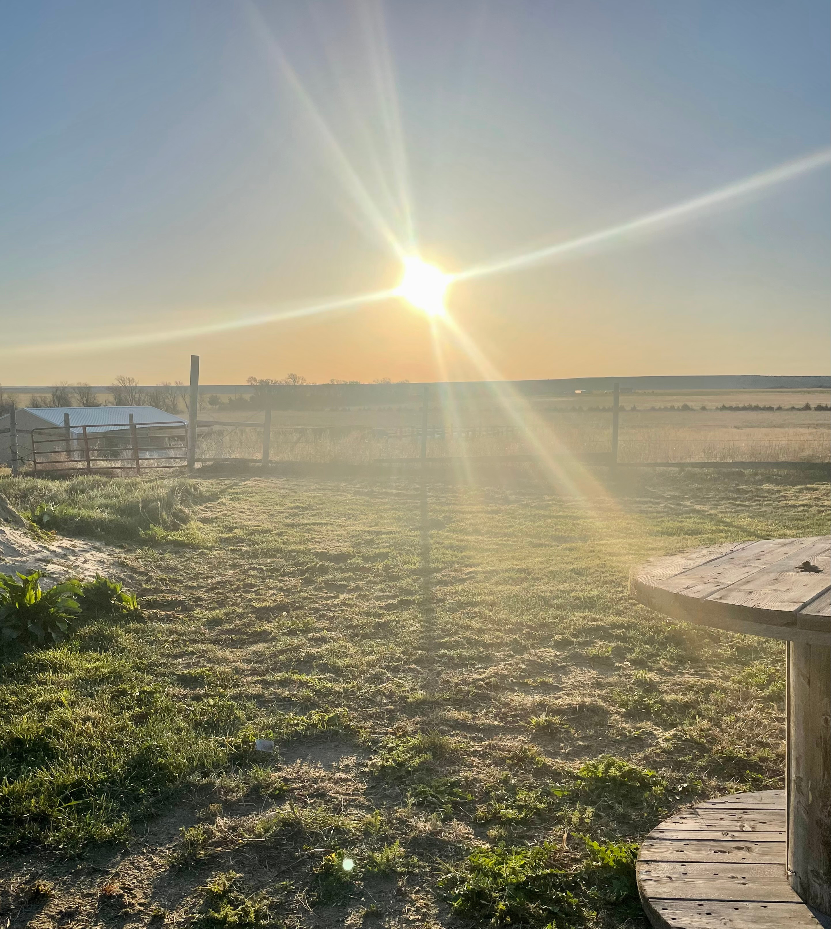 Your afternoon views.