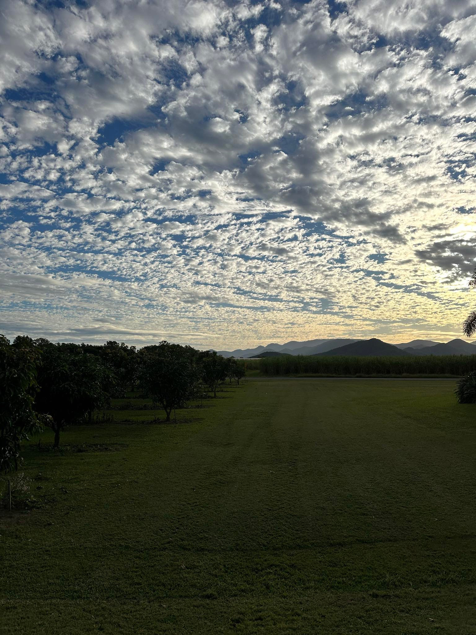 Hinchinbrook View