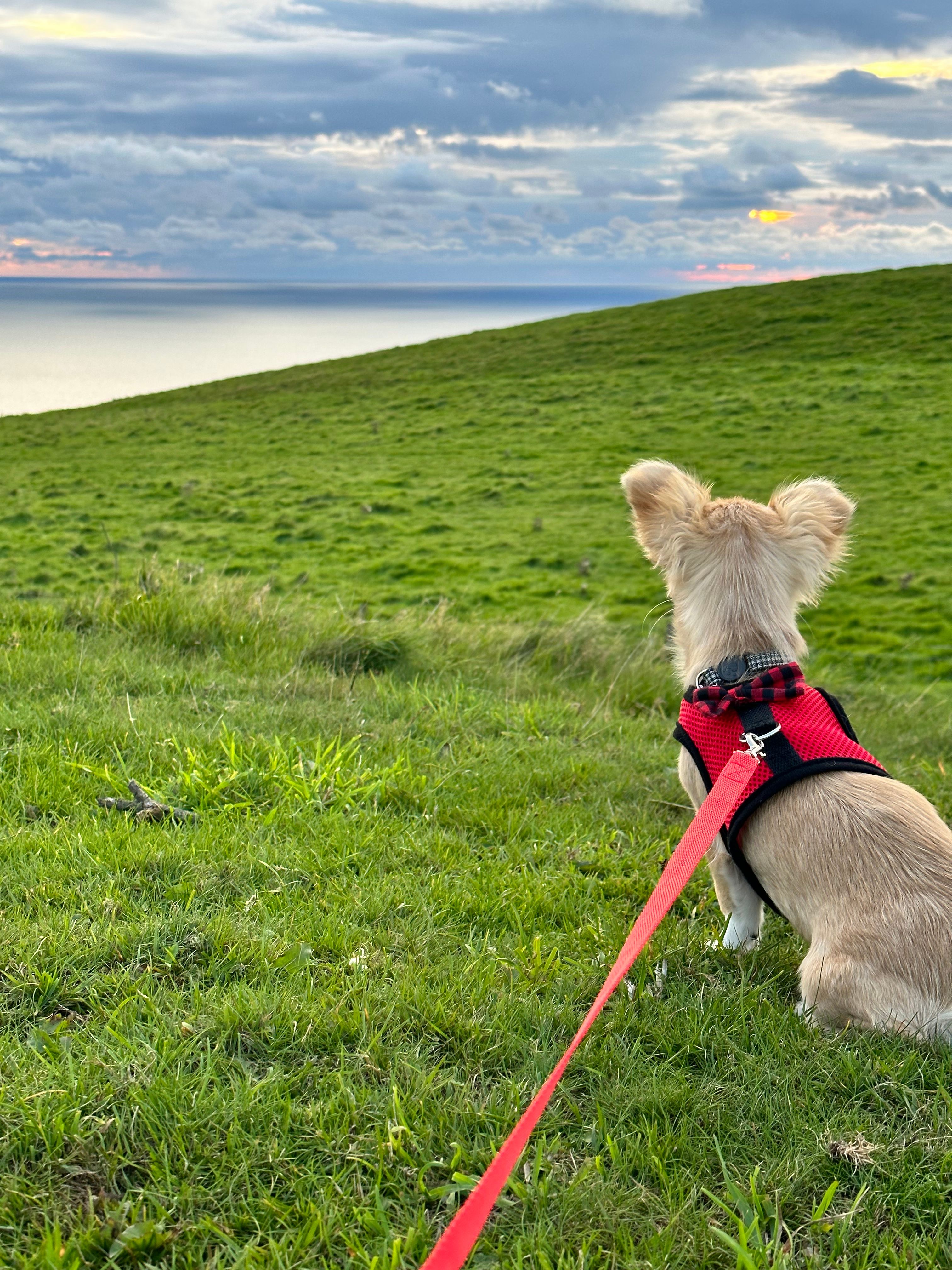 Sleep beneath the Stars!