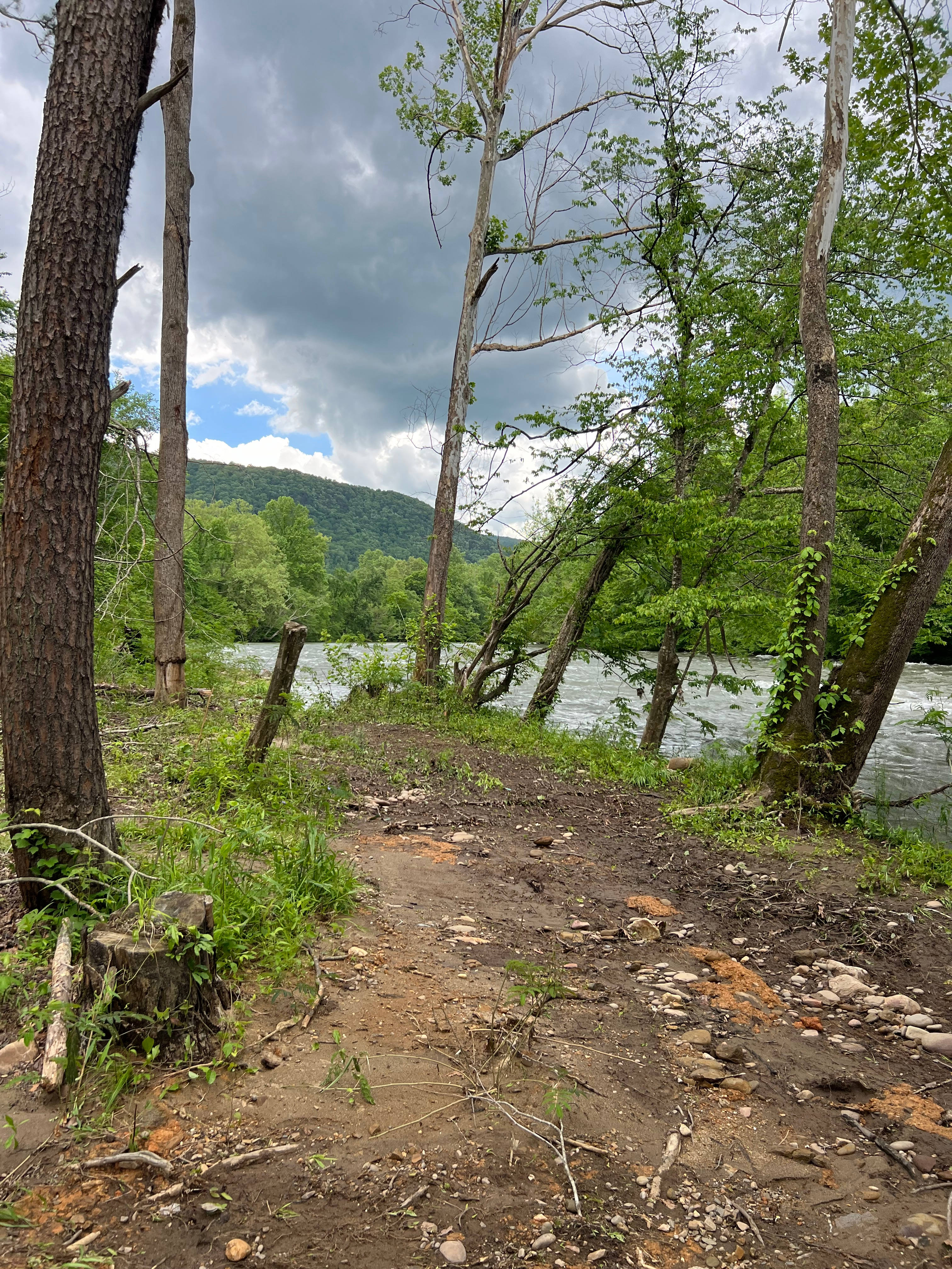 The River Life
