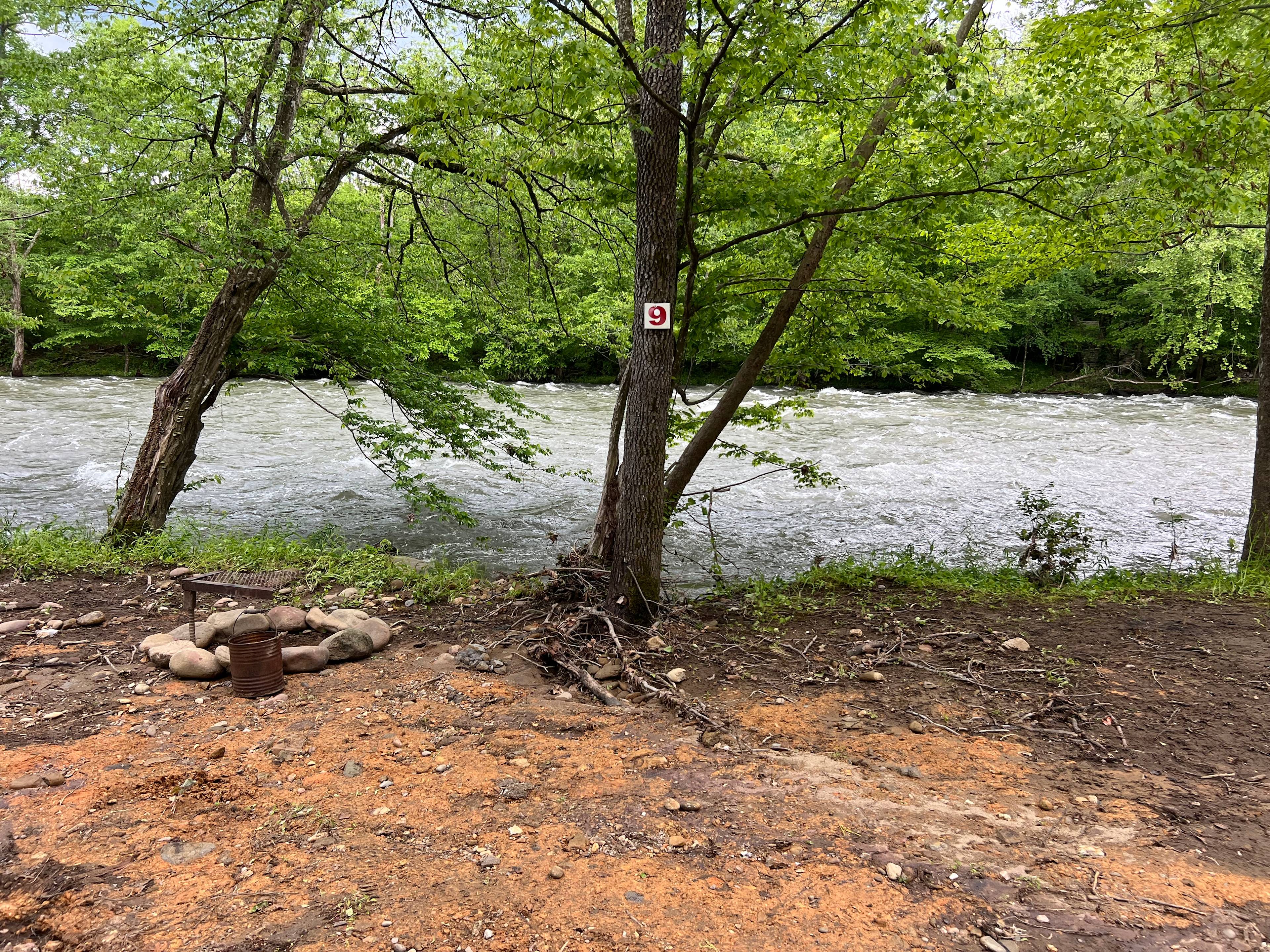 The River Life