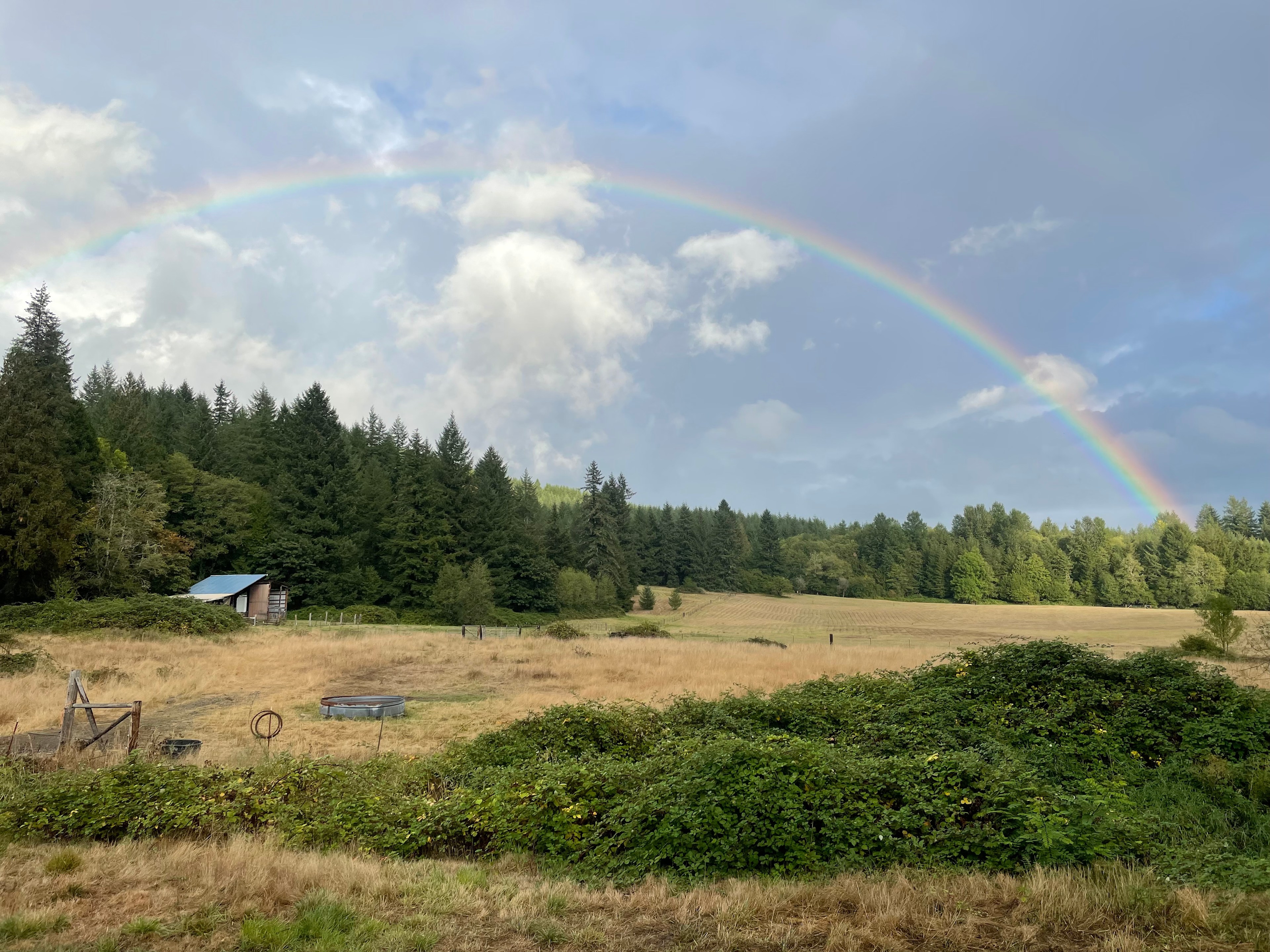 We get an unusual number of rainbows and bouts of fog here because of the high level of water vapor in the air.