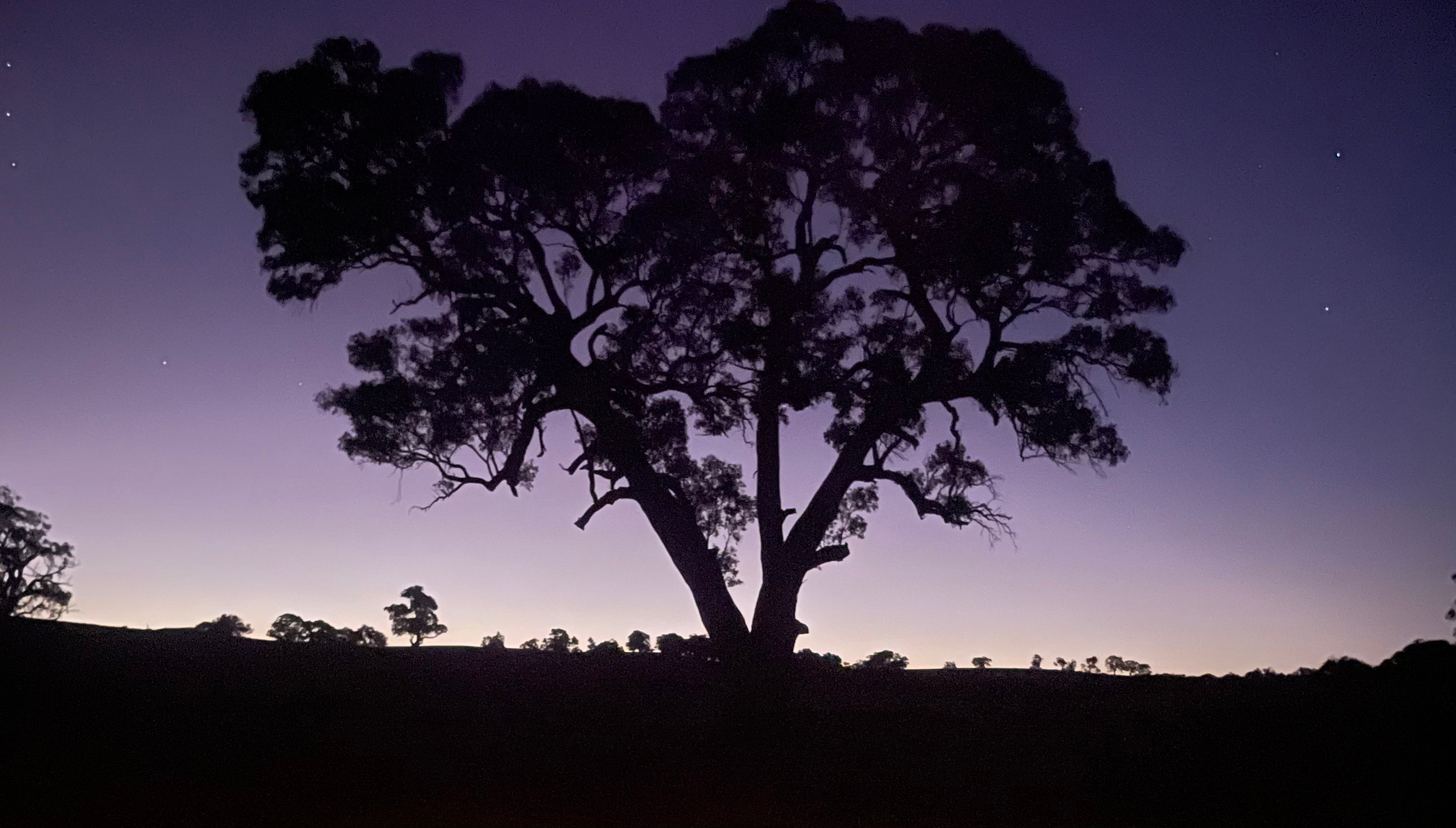 The Valley of Eden - Barossa
