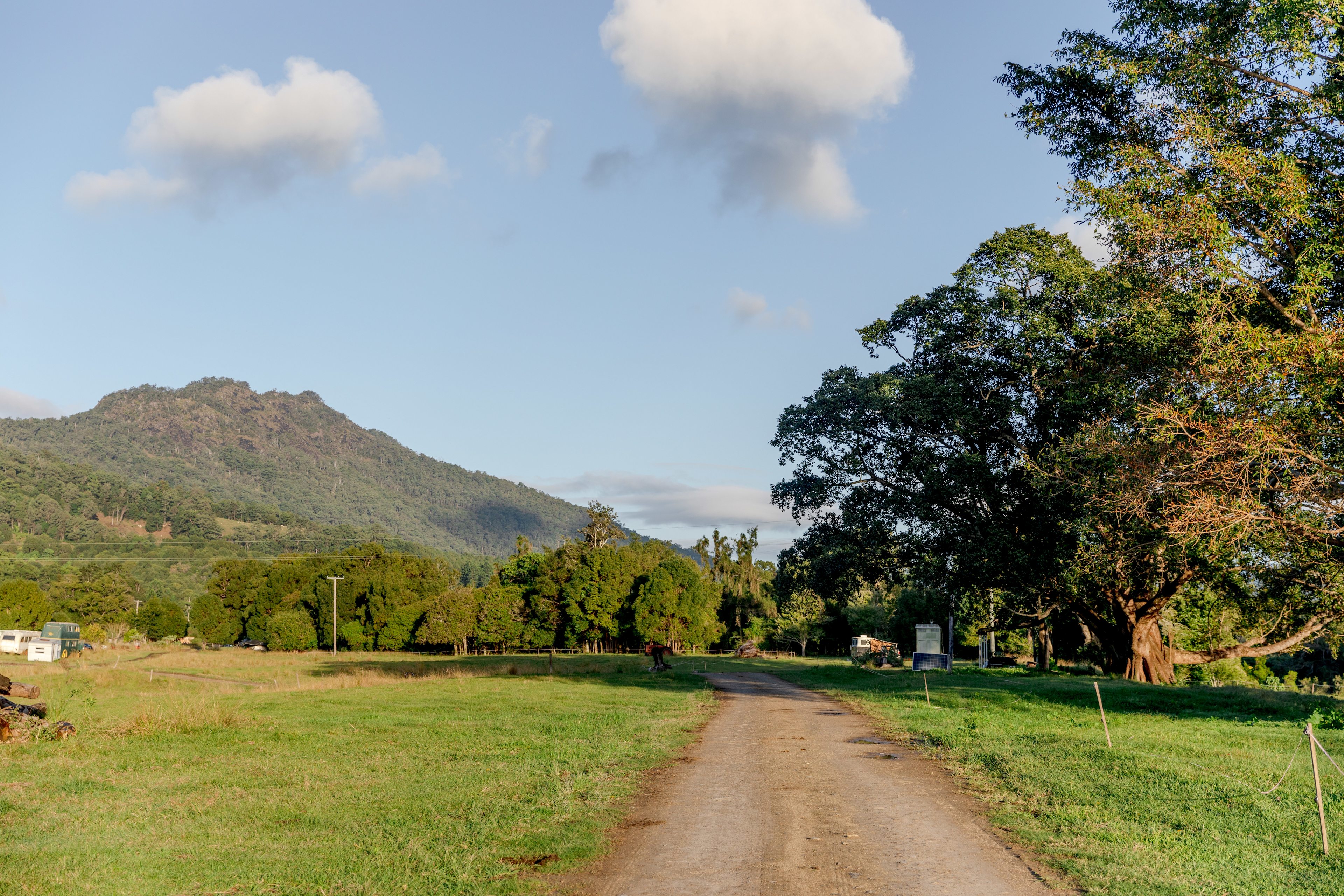 McKenzies Mountain, Wollumbin
