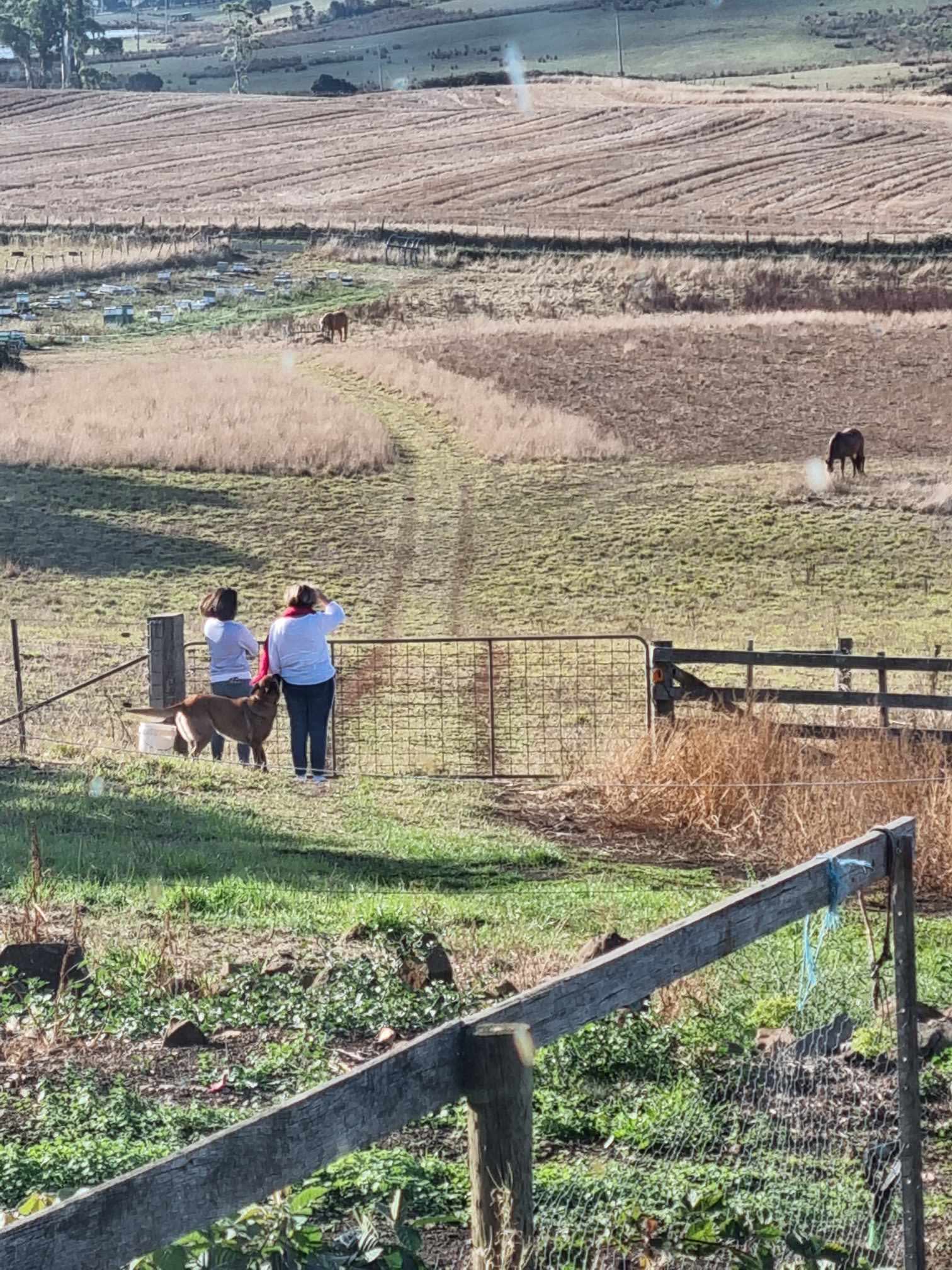 Robin Hoods Well Farmstay