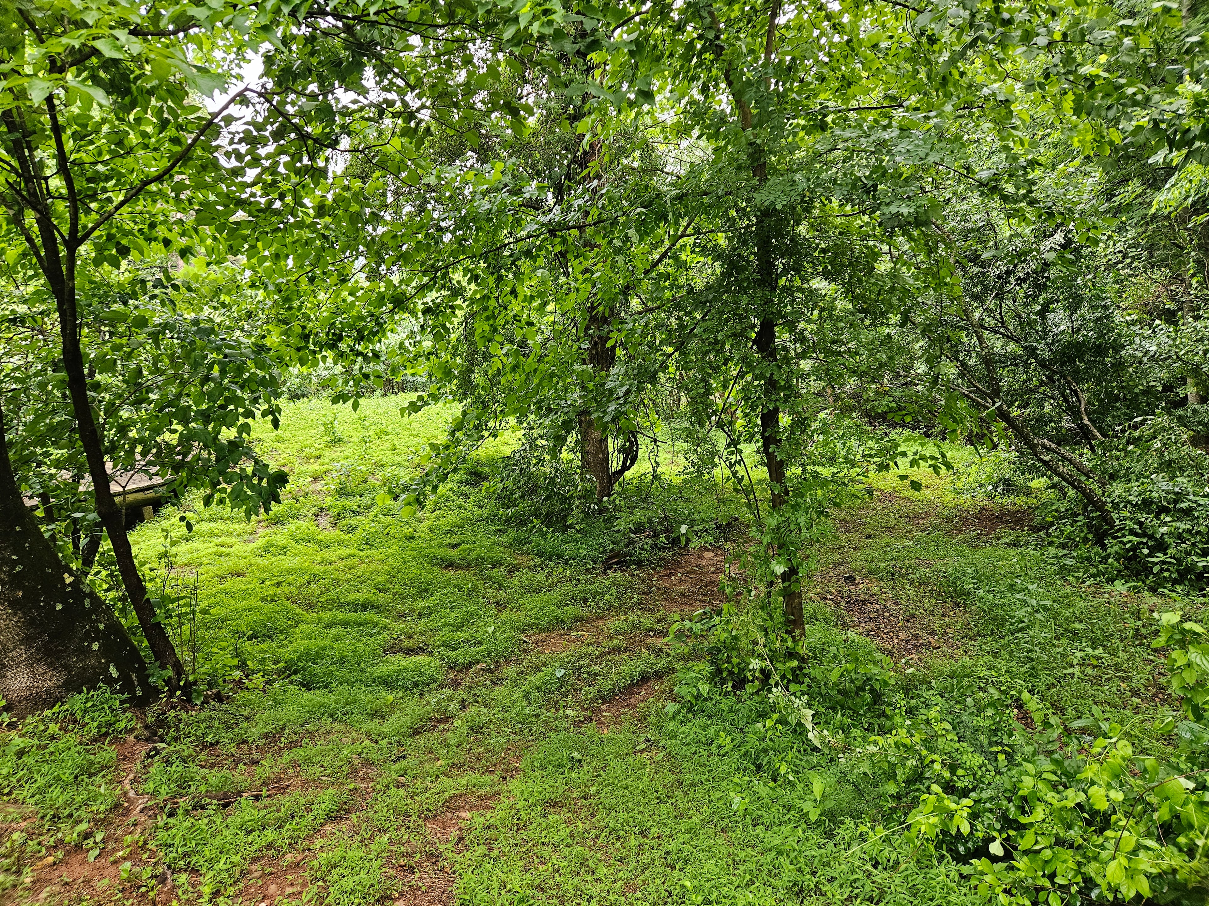 Ridge Crest Hollow and Lake
