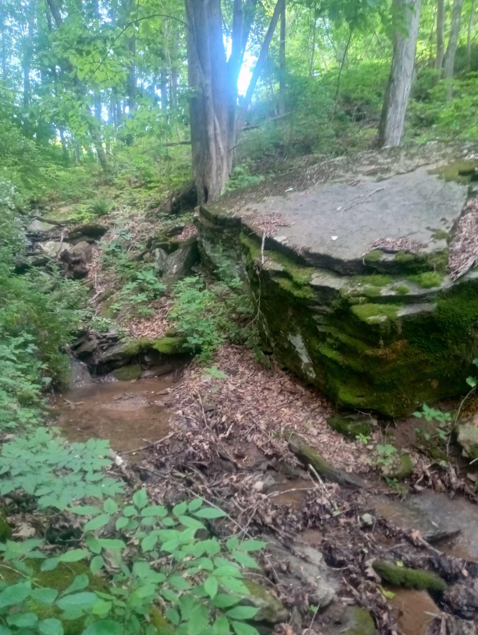 Serenity Above Bluestone