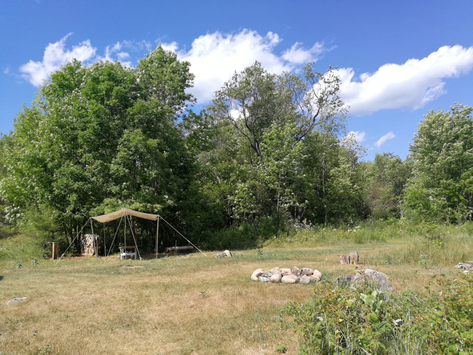 Yurta Glamping/Tent Camping 50Acres