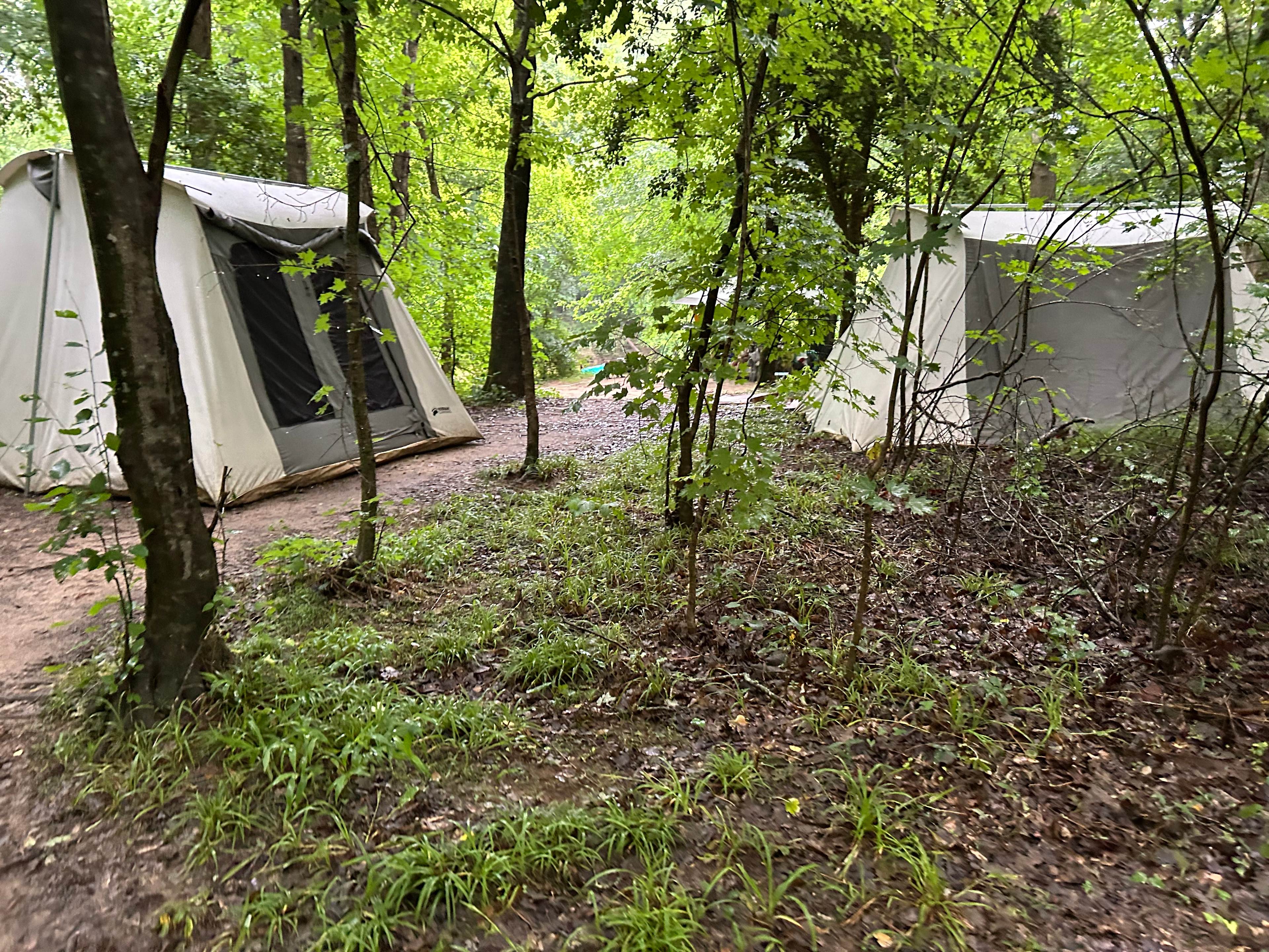 Tar River Life
