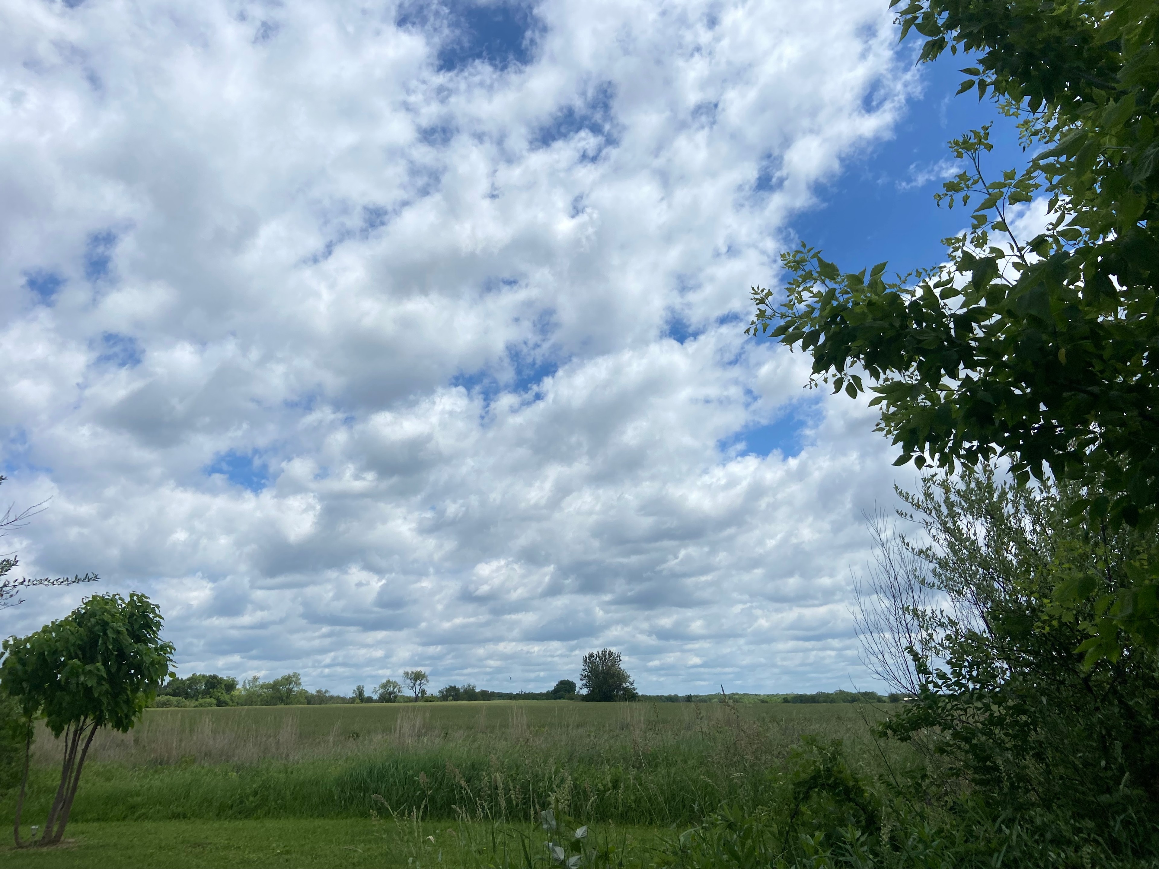 Daisy’s Farms On Notalotta Acers