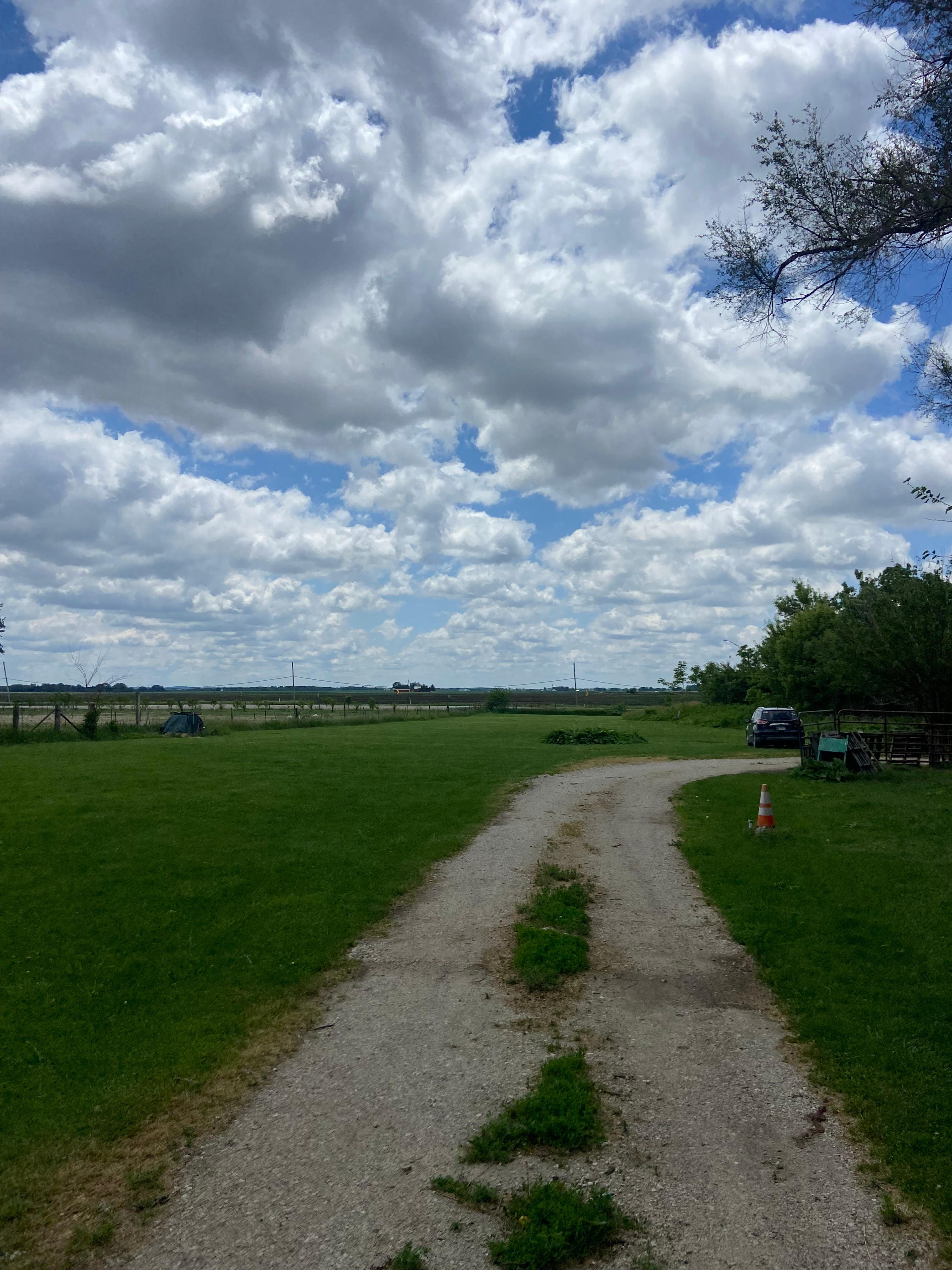Daisy’s Farms On Notalotta Acers