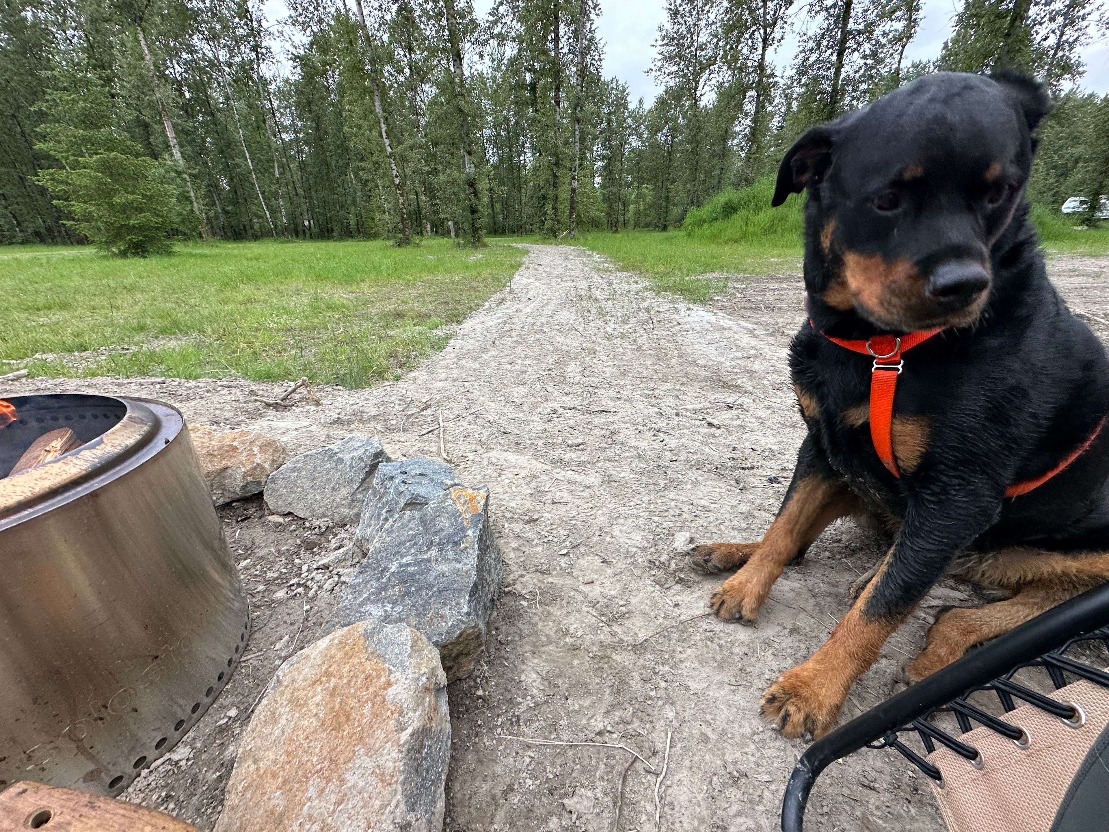 Our pups enjoyed the sandy spots